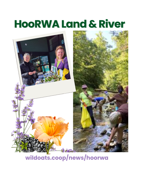 HooRWA.png