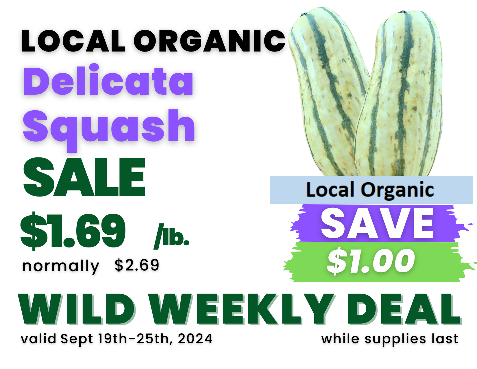 Delicata Squash.png