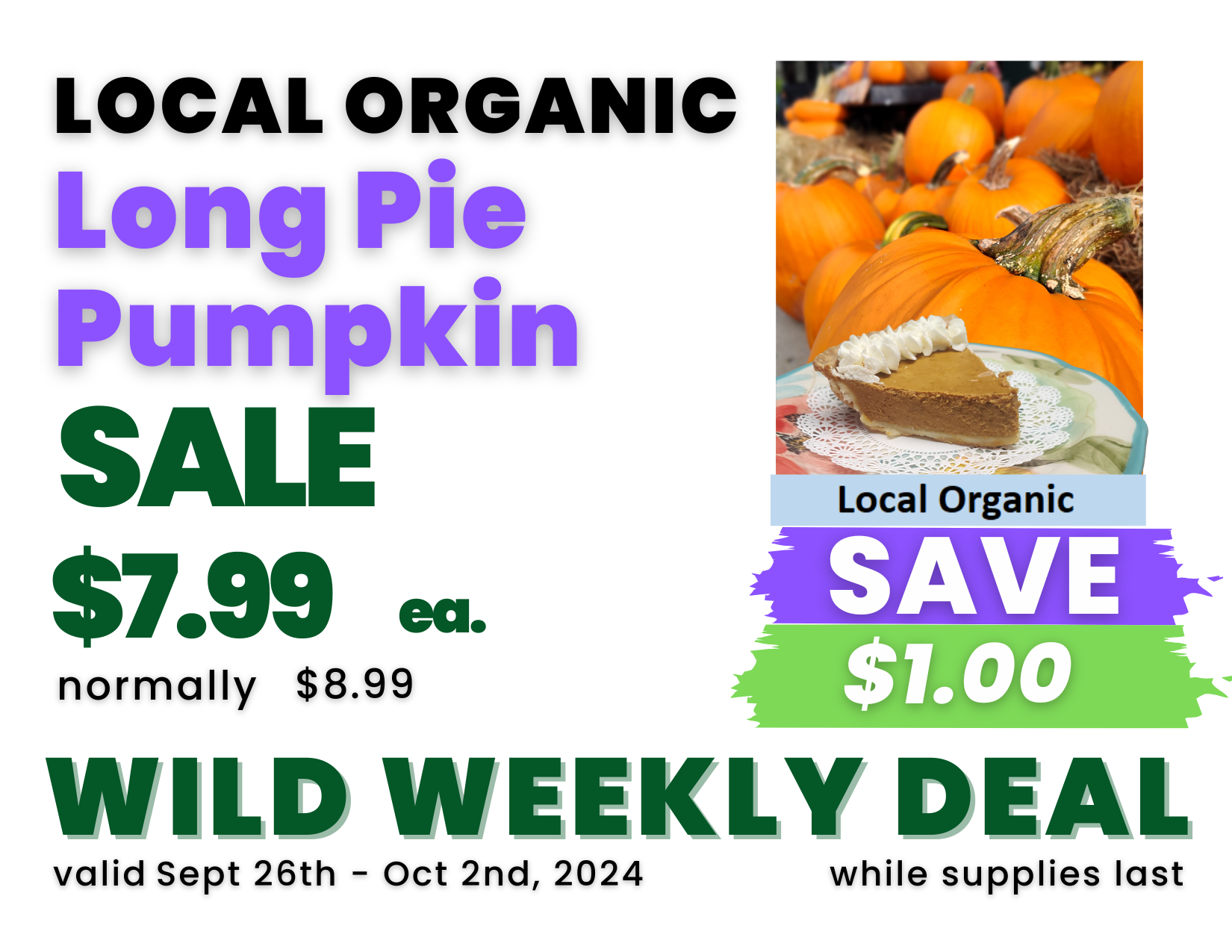 Long Pie Pumpkin.png