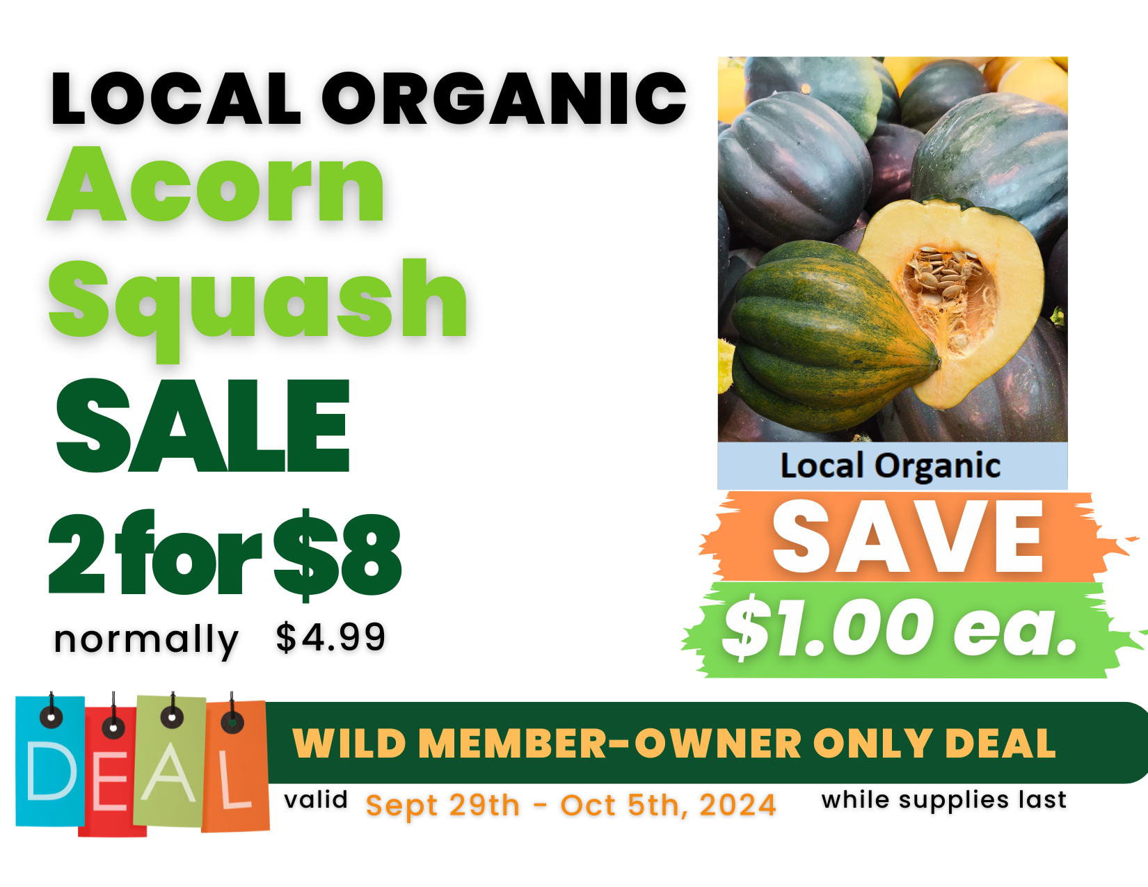 Acorn Squash.png