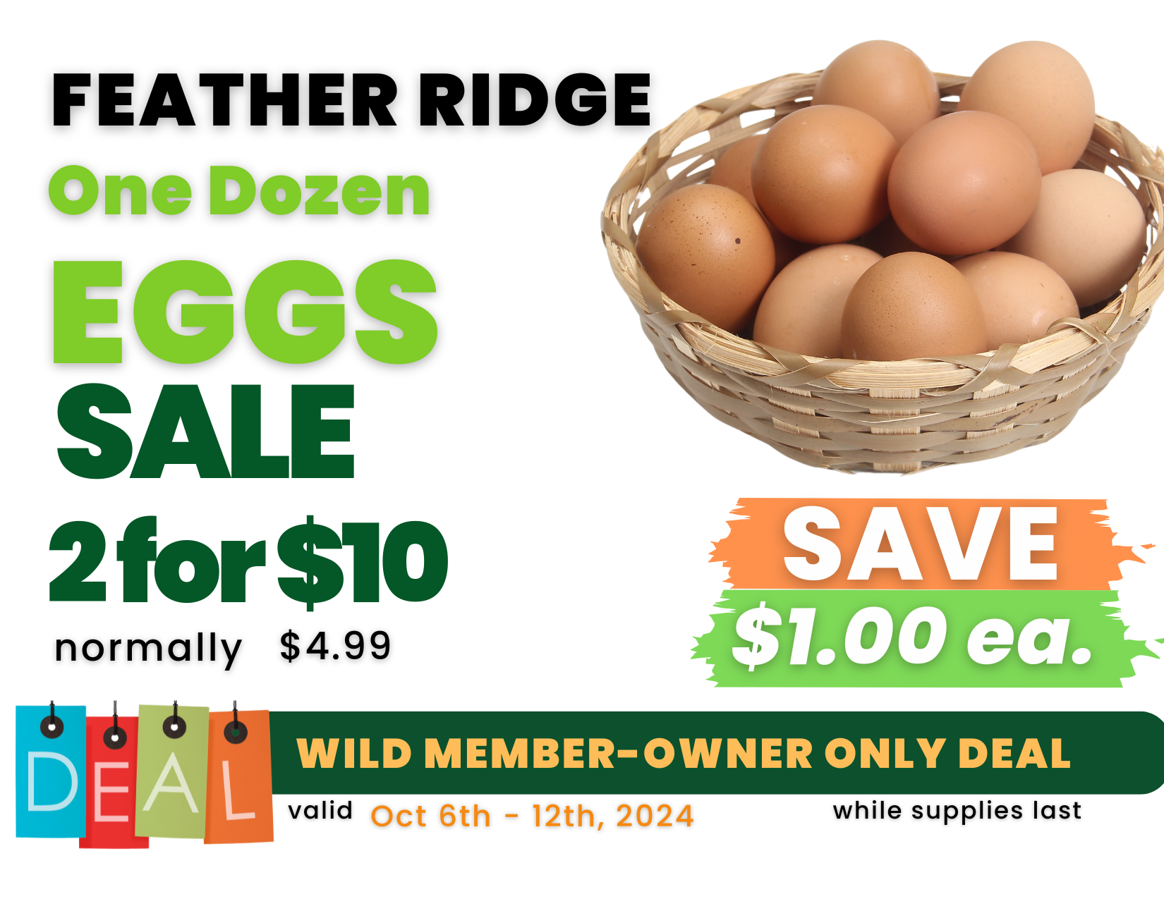 One Dozen EGGS.png