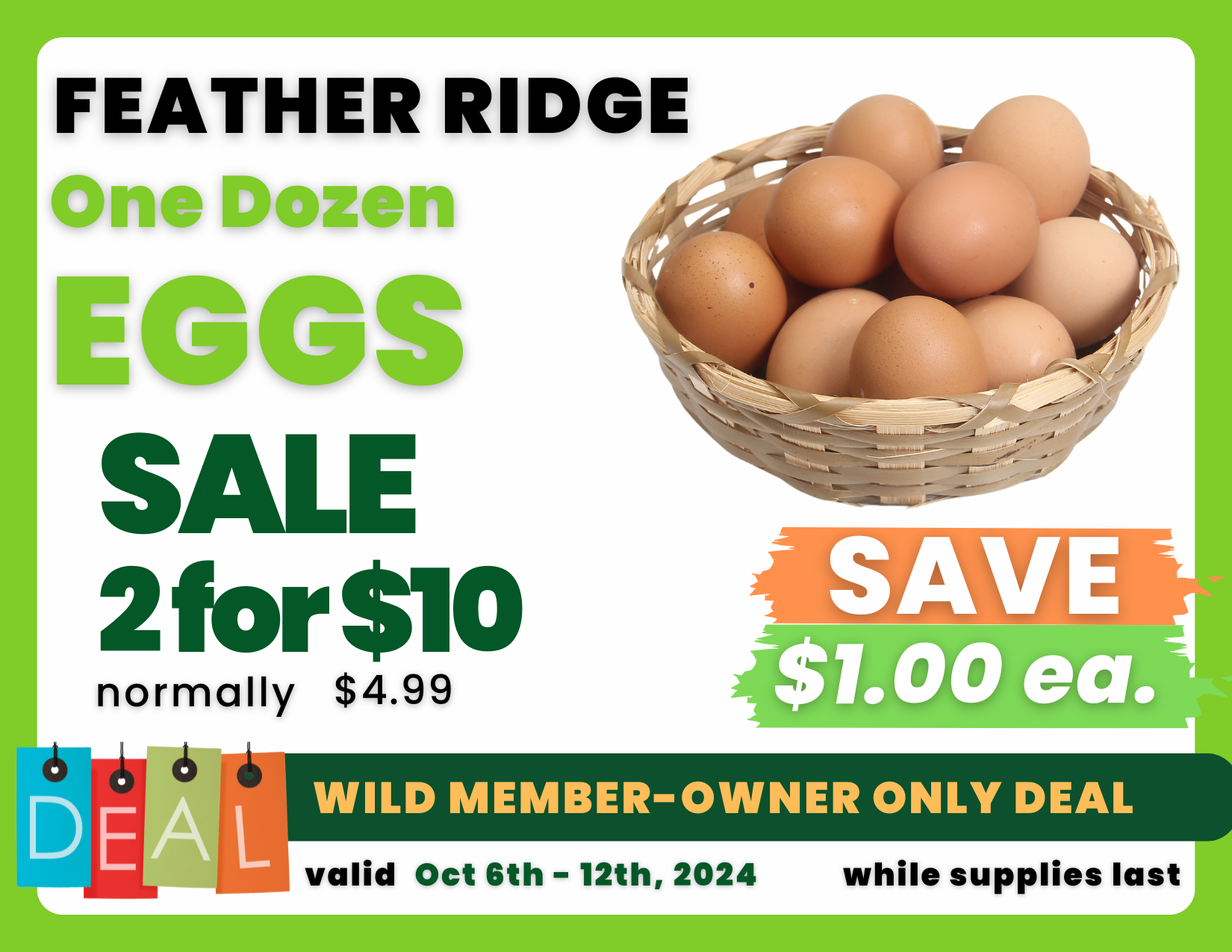 One Dozen EGGS.png