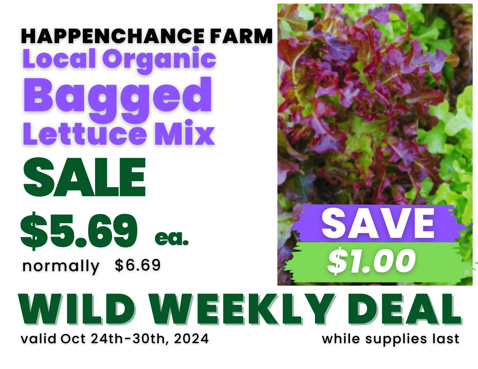 Local Organic Bagged Lettuce Mix.png