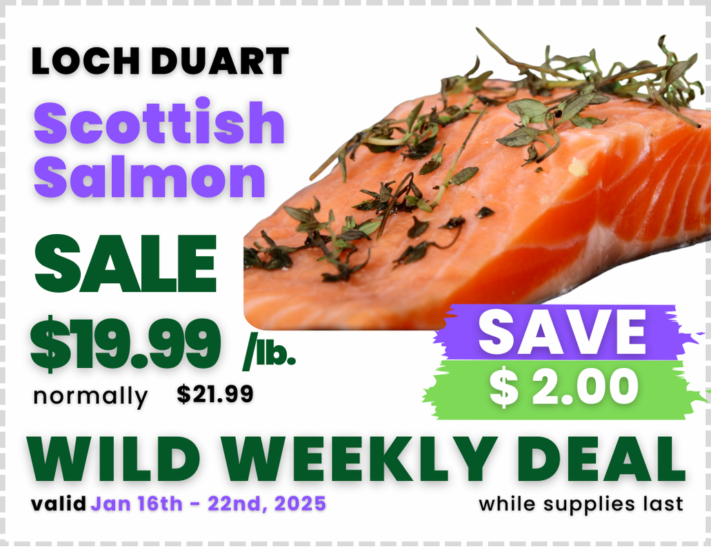 Scottish Salmon.png