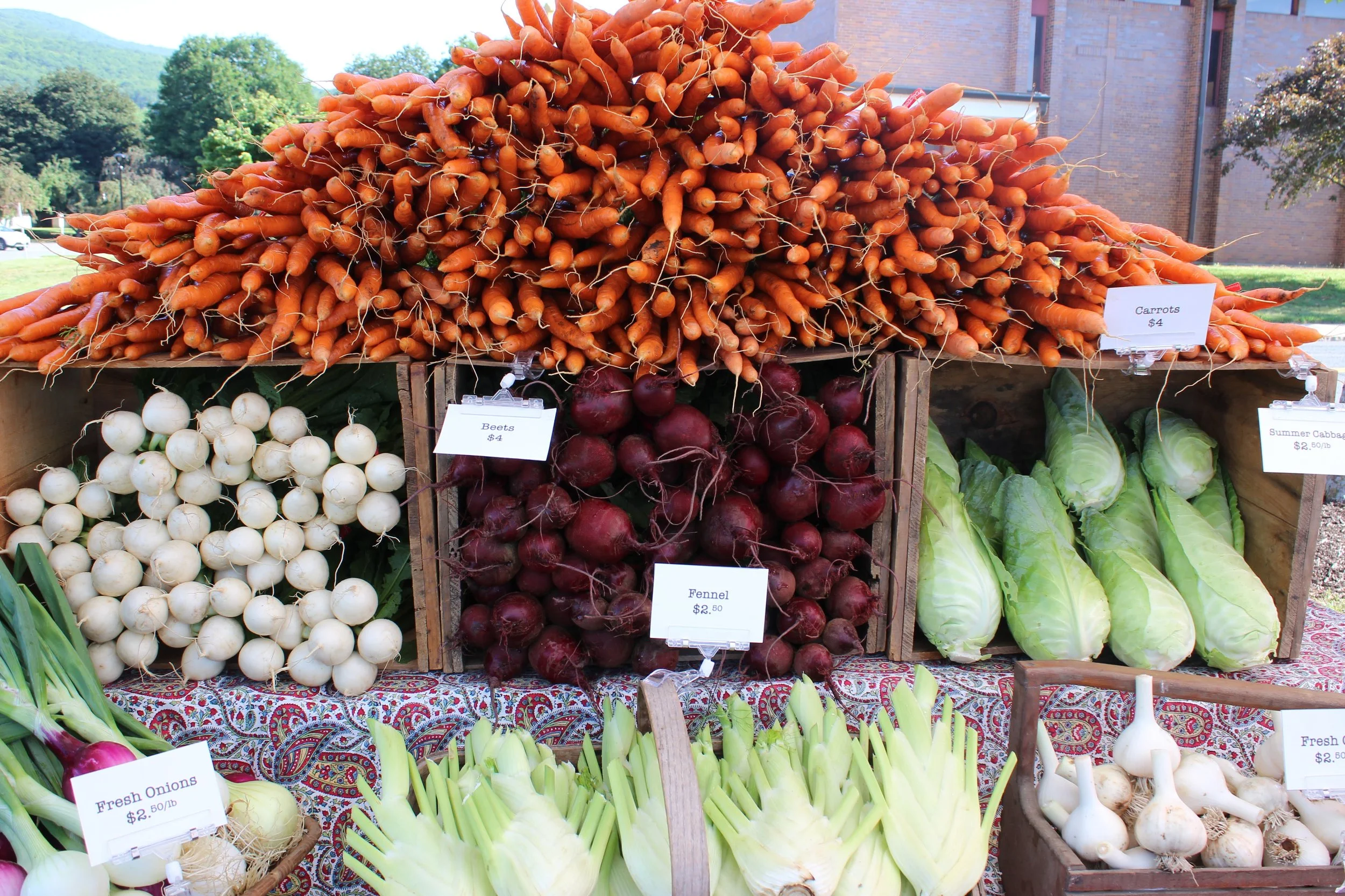 North Adams Farmers Market.JPG