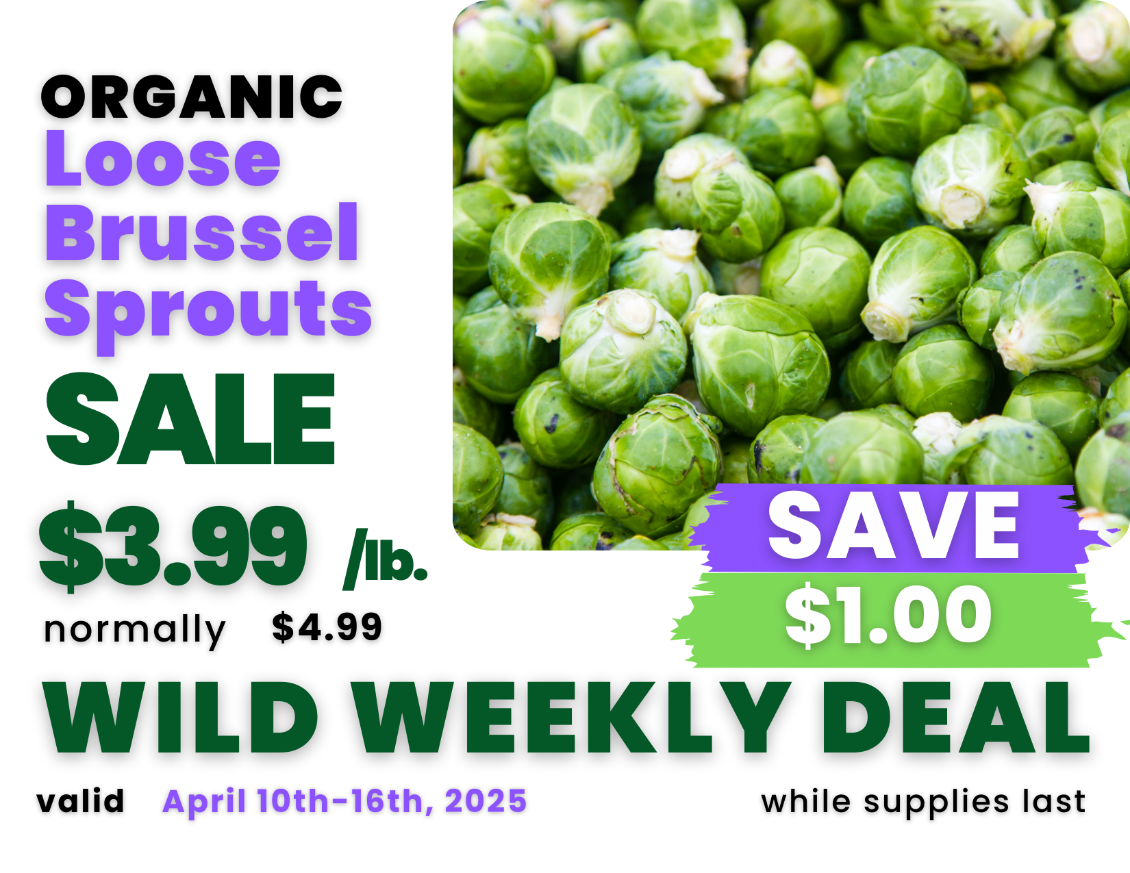 Loose Brussel Sprouts_Organic.png