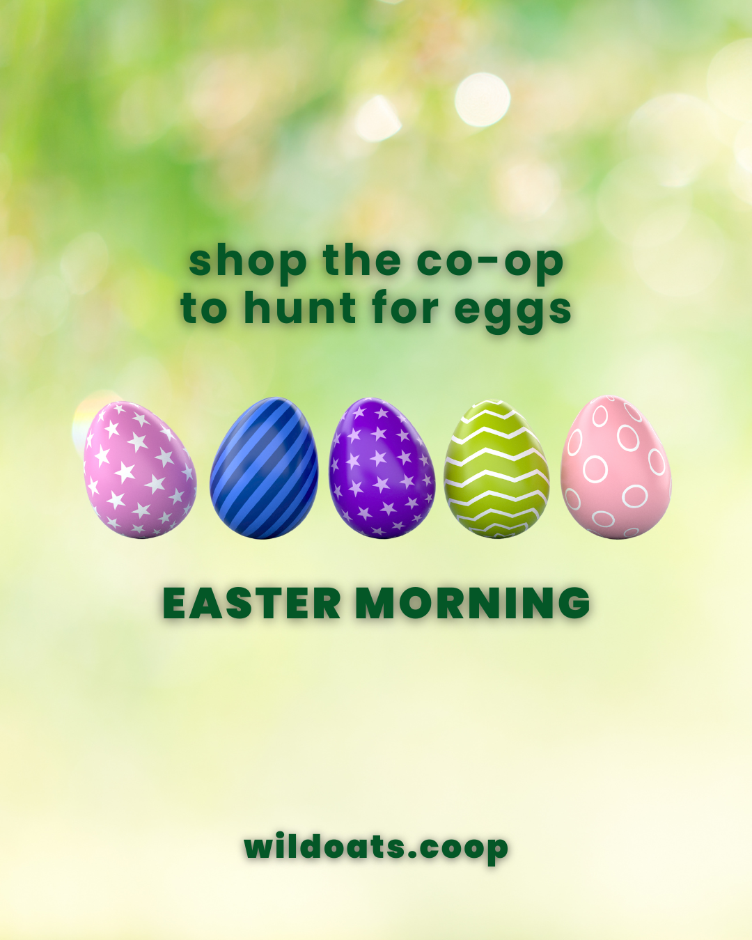 Local_Farm_Fresh_Eggs_Dye_Eggs_Cook_Eggs_Hunt_For_Eggs_Wild_Oats_Market (4).png