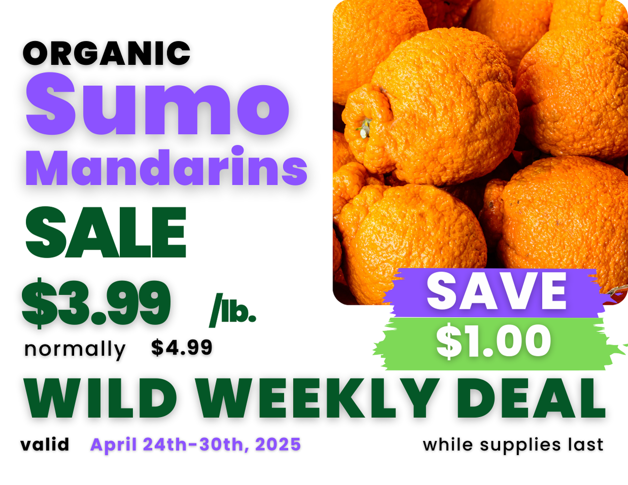 Sumo Mandarins.png