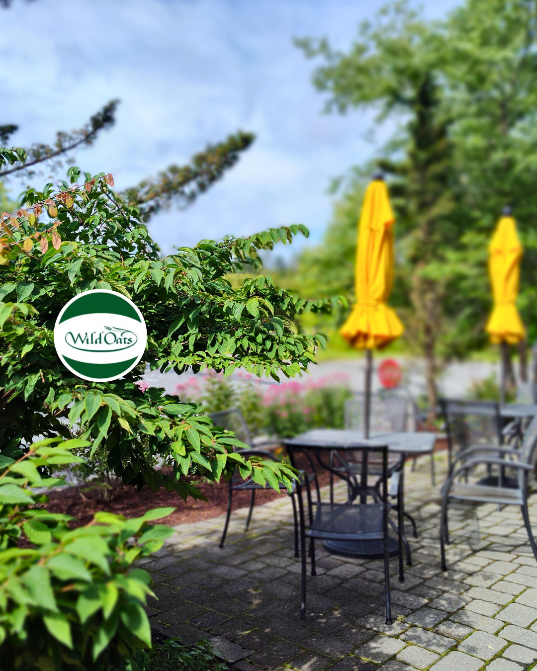 Wild Oats Market Garden Patio (Copy)