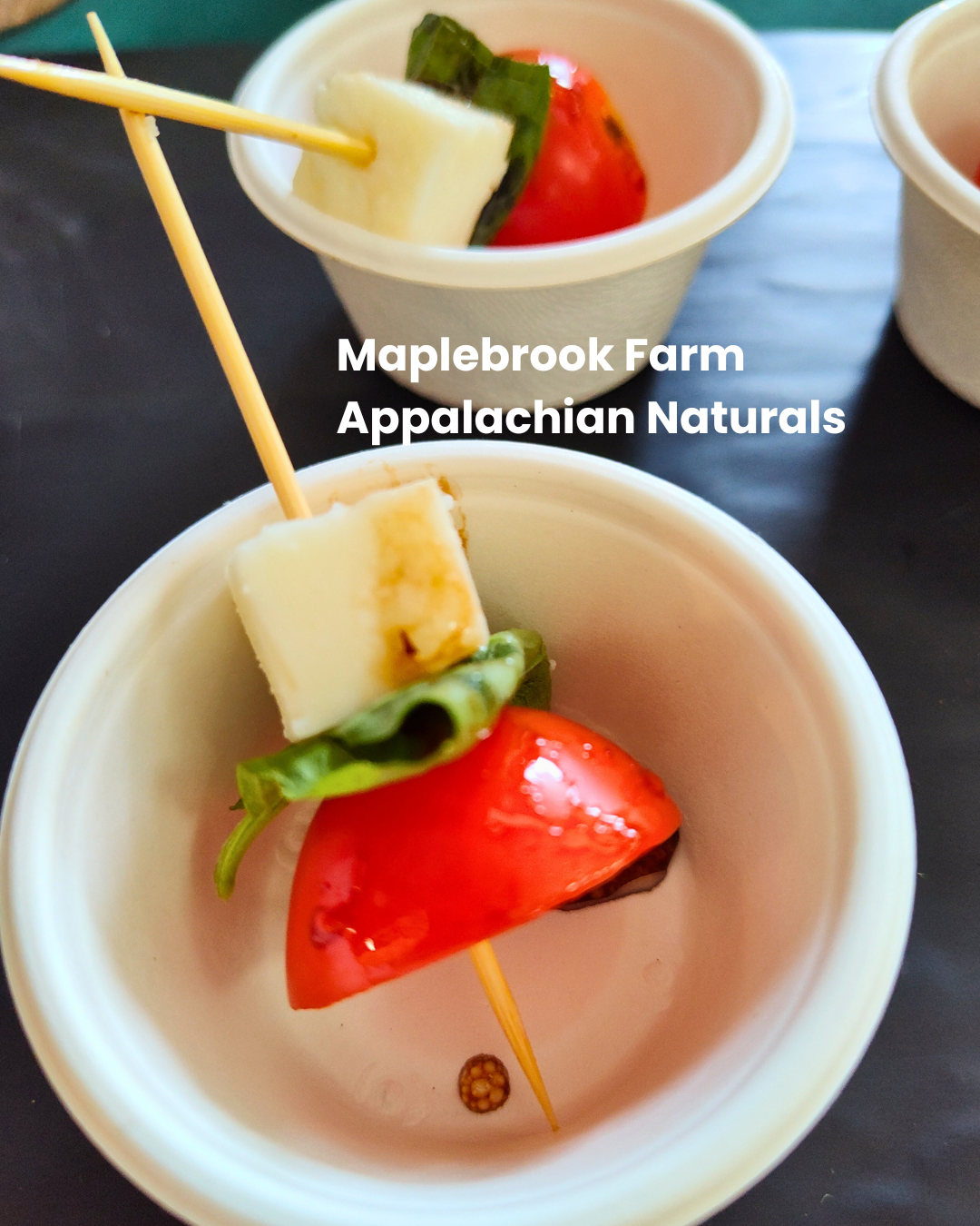 Tasting Caprese Bite.png