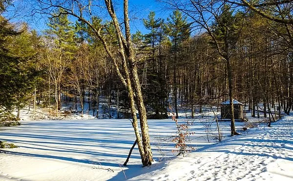 Berkshire Natural Resources Council  csm_Olivias_Monks_Pond_winter_28f75c5f8d.jpg