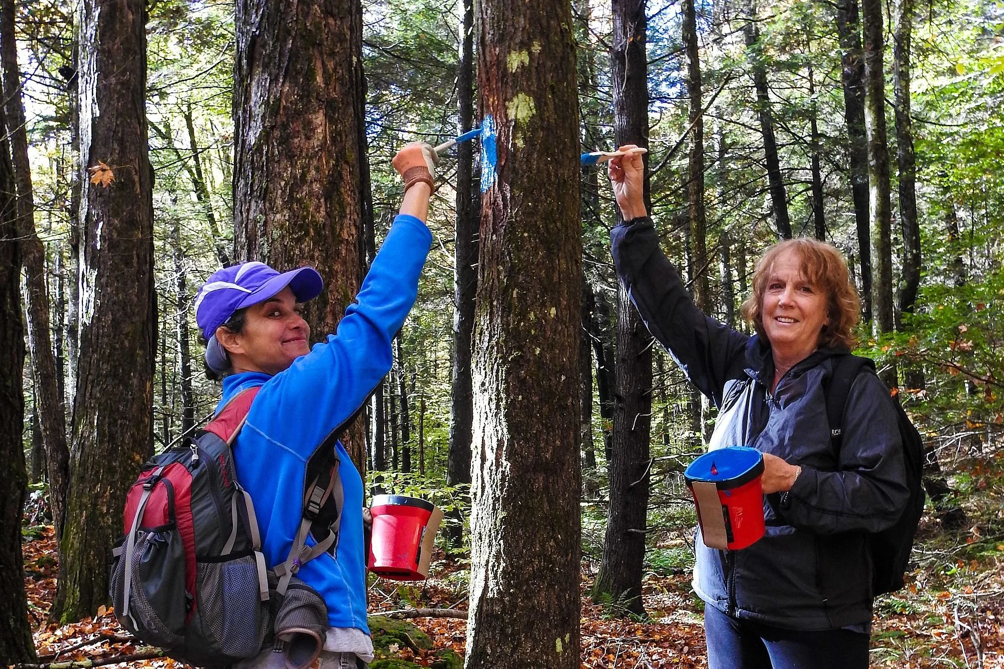 Berkshire Natural Resources Council csm_DSCN6495_5d9516c4f8.jpg