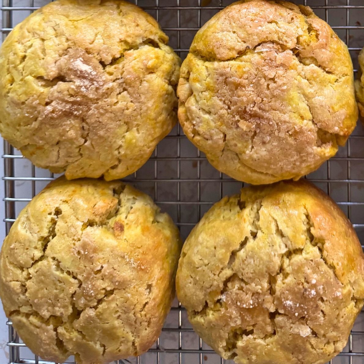 moon bakery wild oats market (5).png