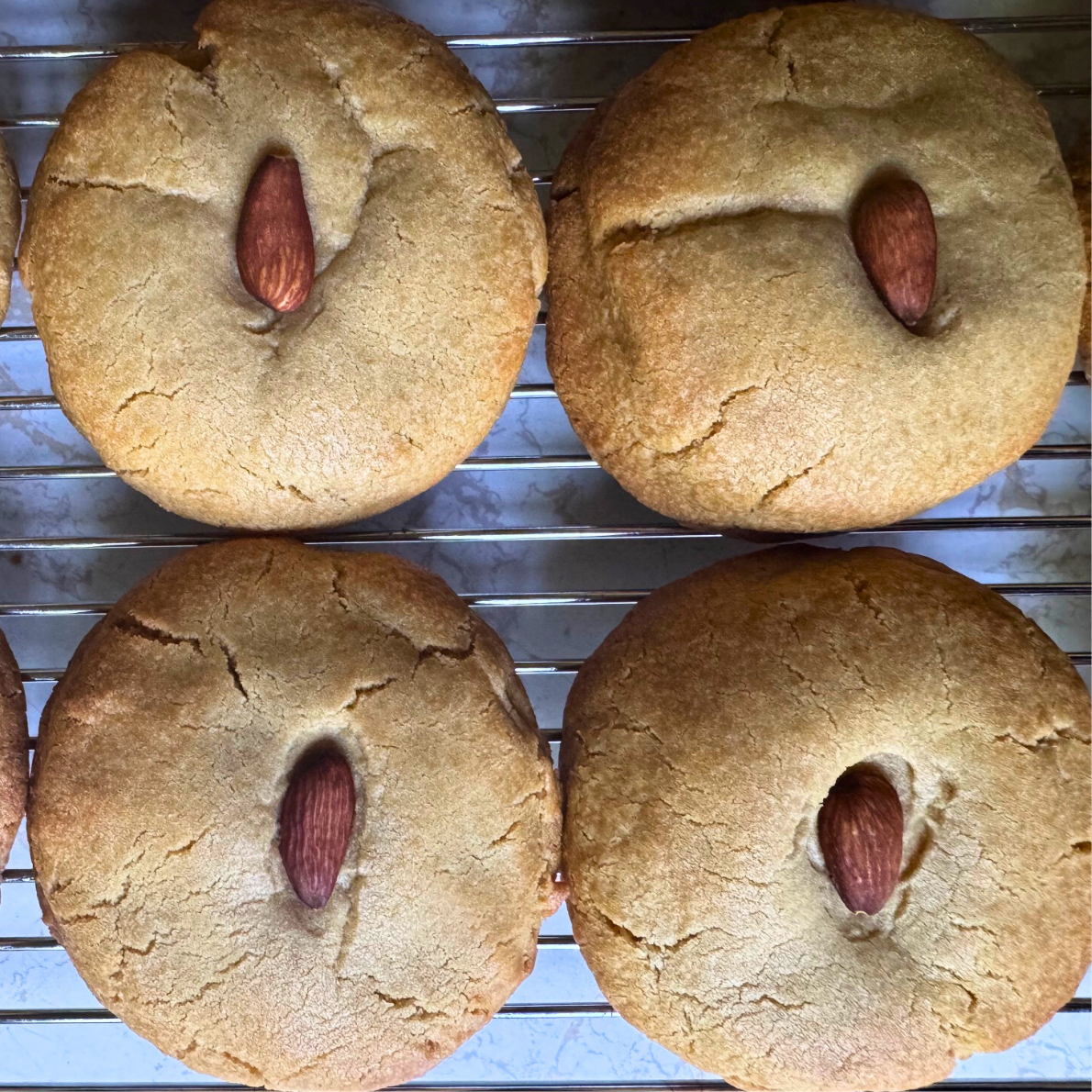 moon bakery wild oats market (6).png