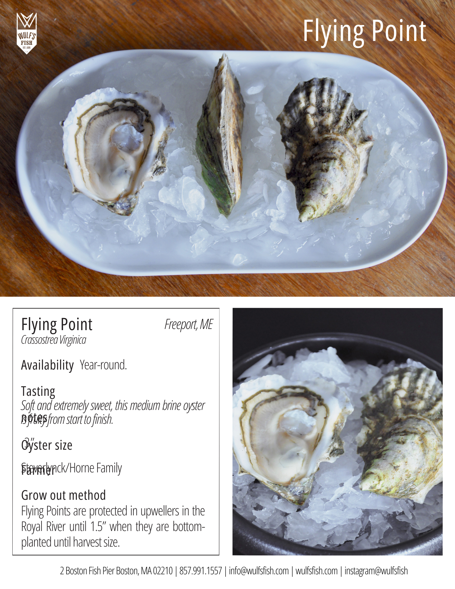 Event Wulf's Fish Berkshire Tasting Flying Point Oyster.png