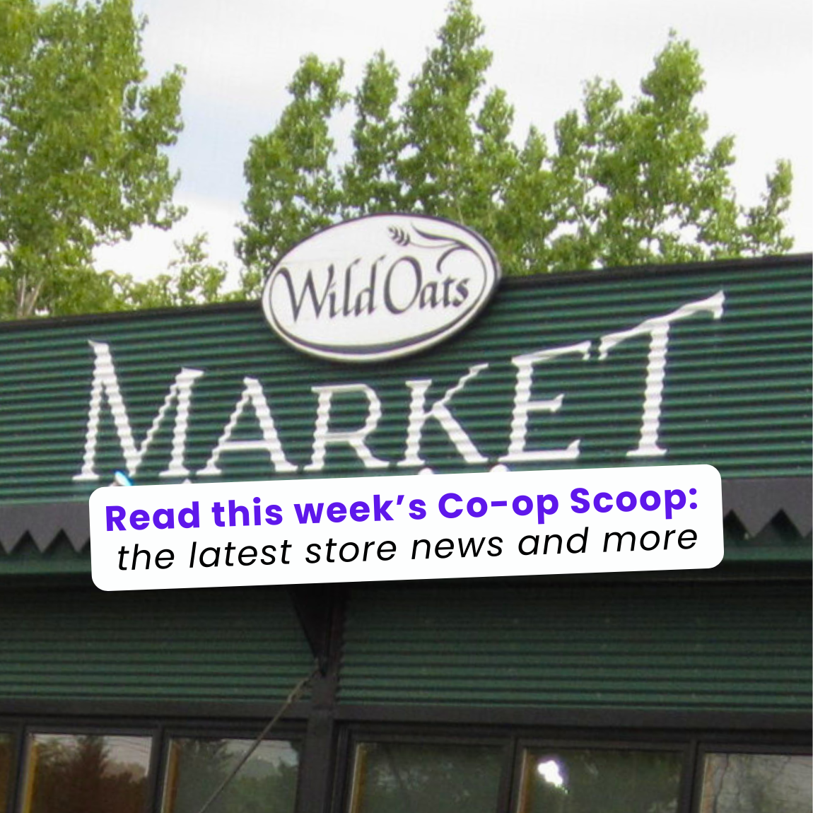 Weekly News:Jan 14th, 2026, Ed.