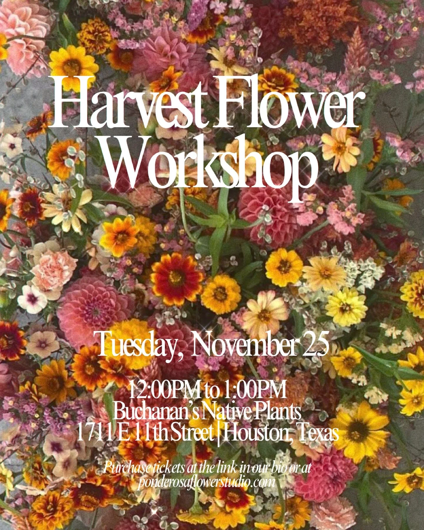 Hello, Autumn! 🍁 As the seasons change, we hope you will join us for our cozy Harvest Flower Workshop hosted at @buchanansplants on November 25! 

No experience is necessary, just come ready to create and enjoy a little fall magic!!

Spaces are limi