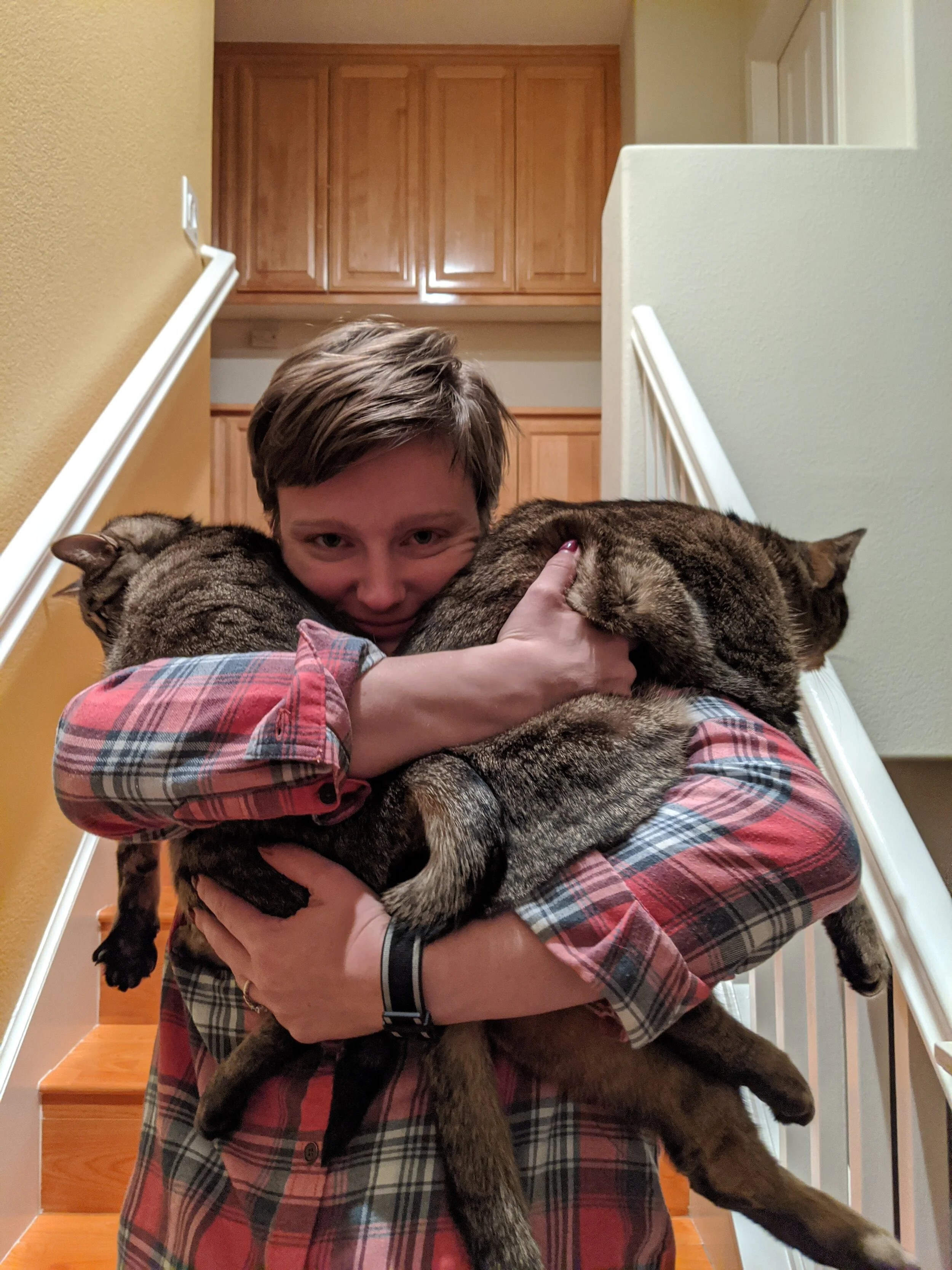 Los gatos serán grandes hermanos