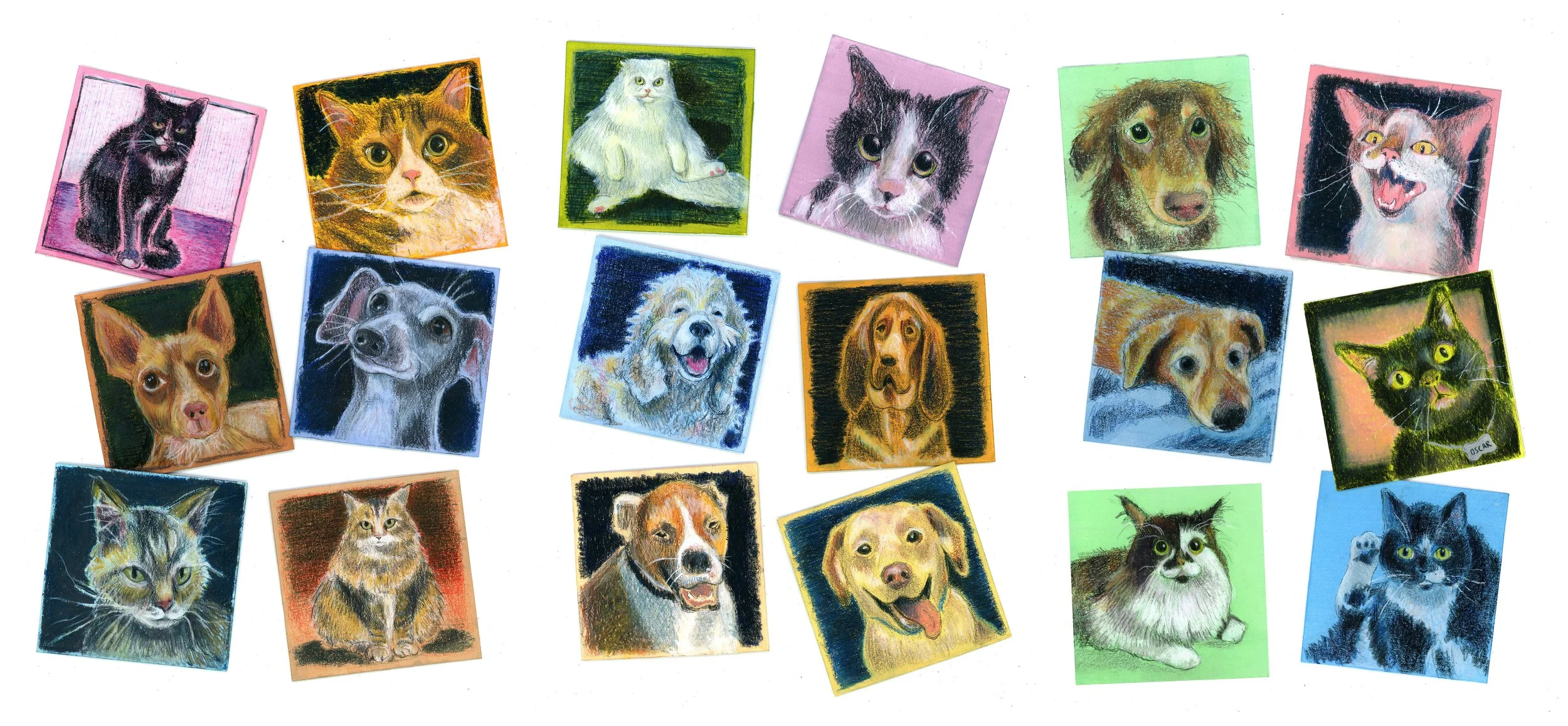 pet portraits in a row.jpg