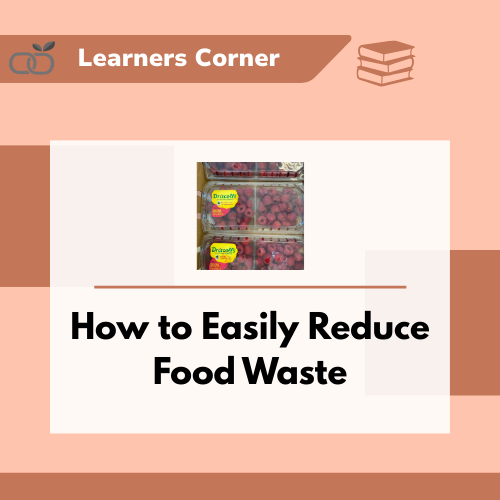 How to Easily Reduce Food Waste