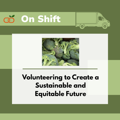 Volunteering to Create a Sustainable and Equitable Future