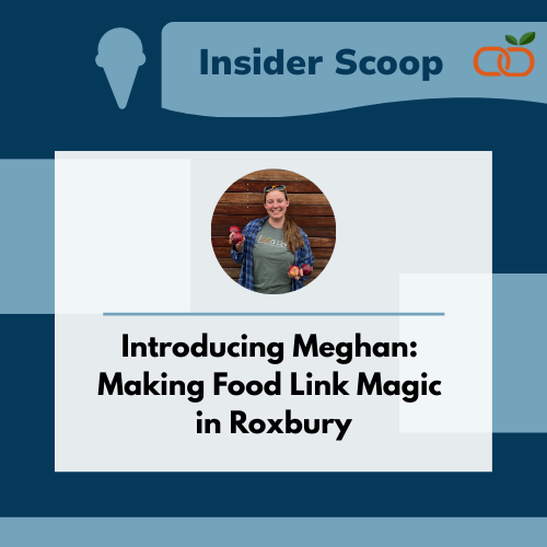 Introducing Meghan: Making Food Link Magic in Roxbury