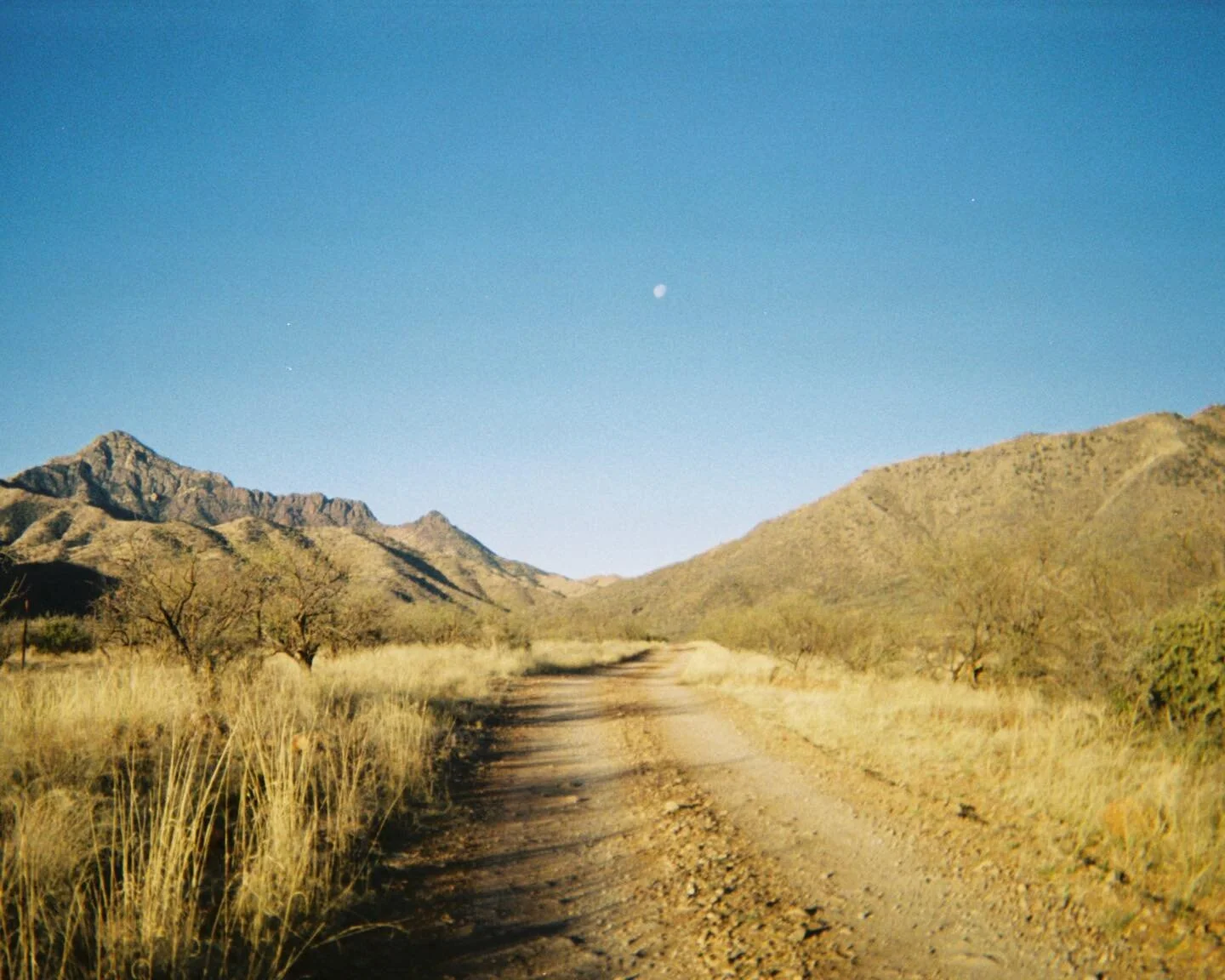 Sweet, slow desert mornings 🏜