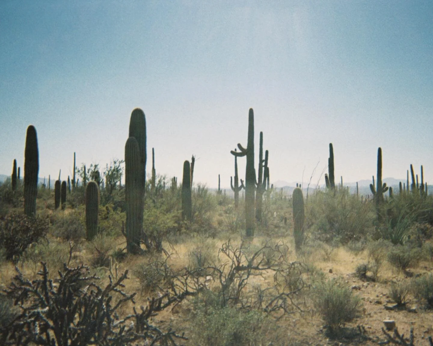 The desert is a good place to find yourself&hellip;or lose yourself 🌵