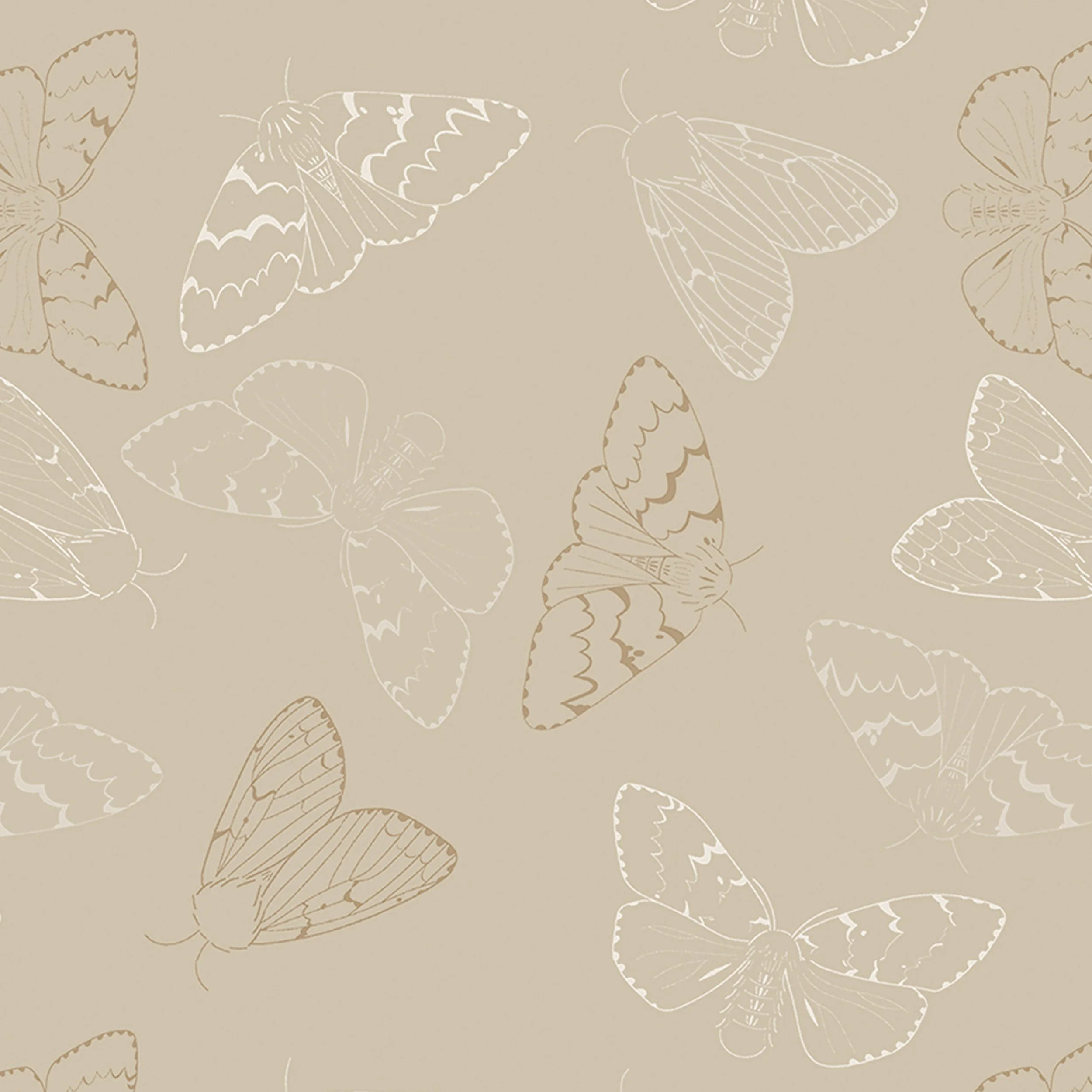 moth-textile-sand-3.jpg