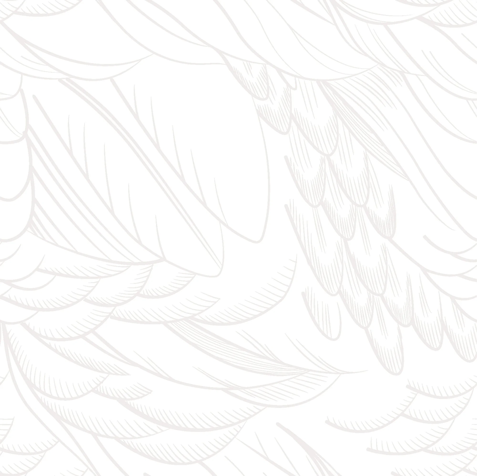 Crow Wallpaper - Boletus