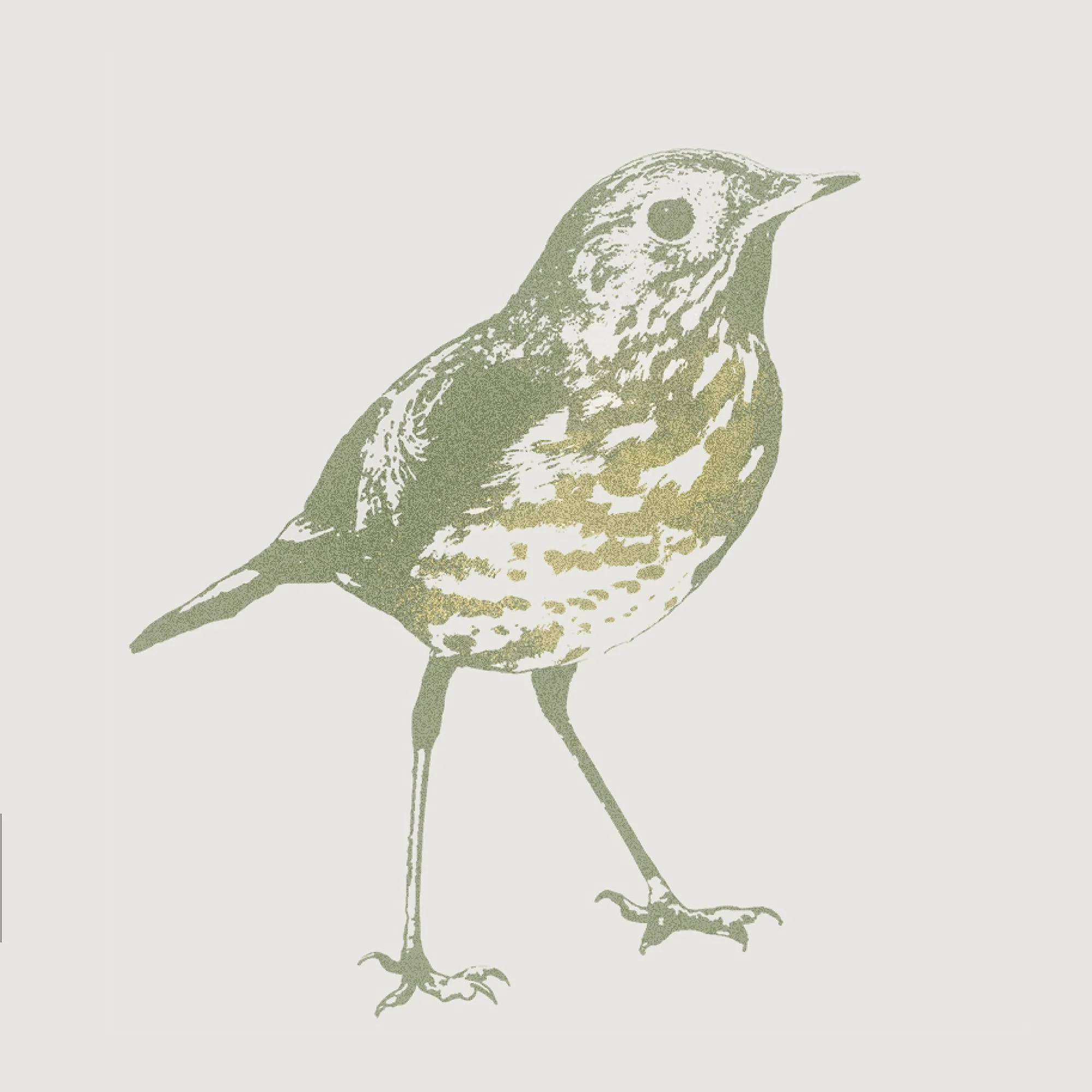 kale-tree-hermit-thrush-quercus-1.jpg