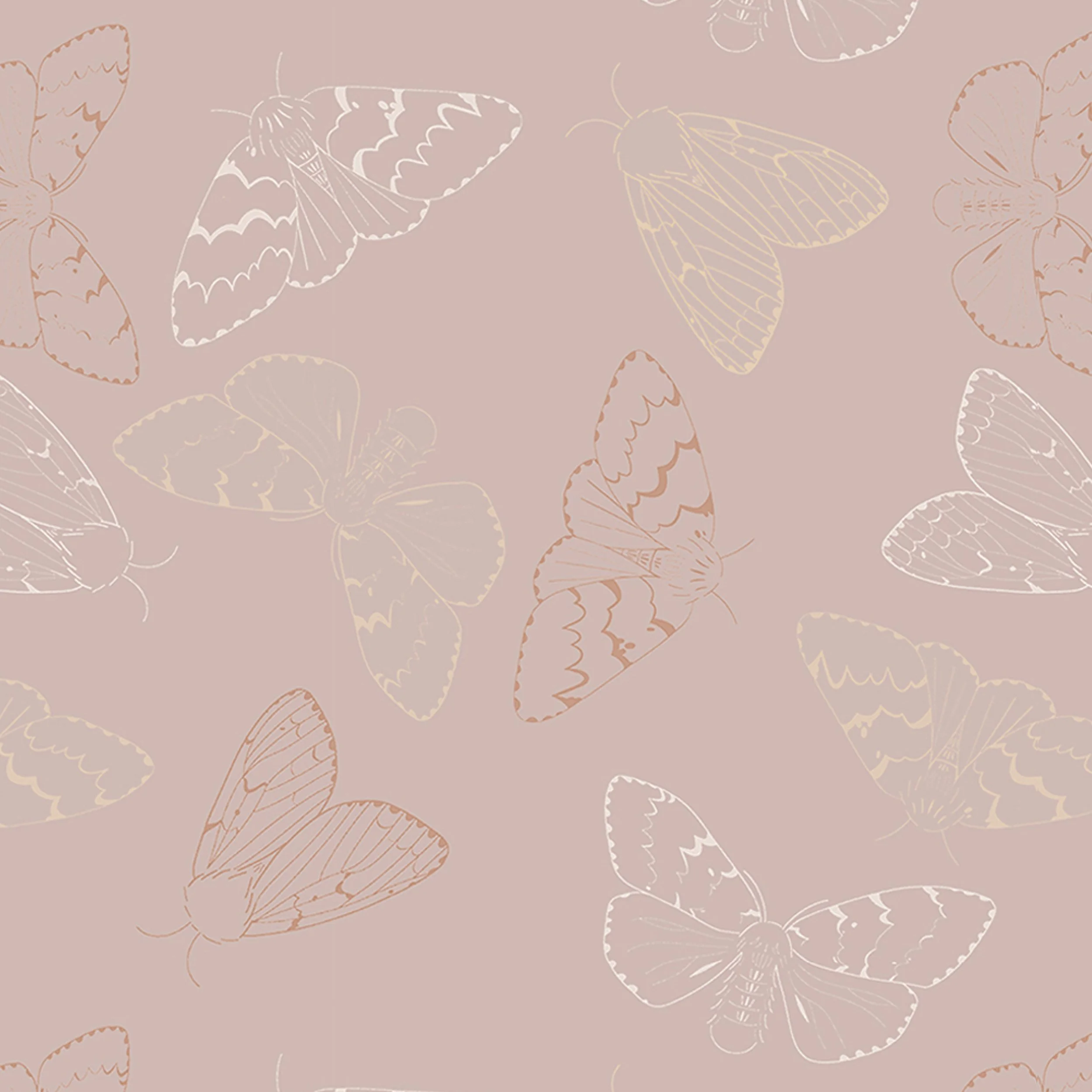 Moth Wallpaper - Rose