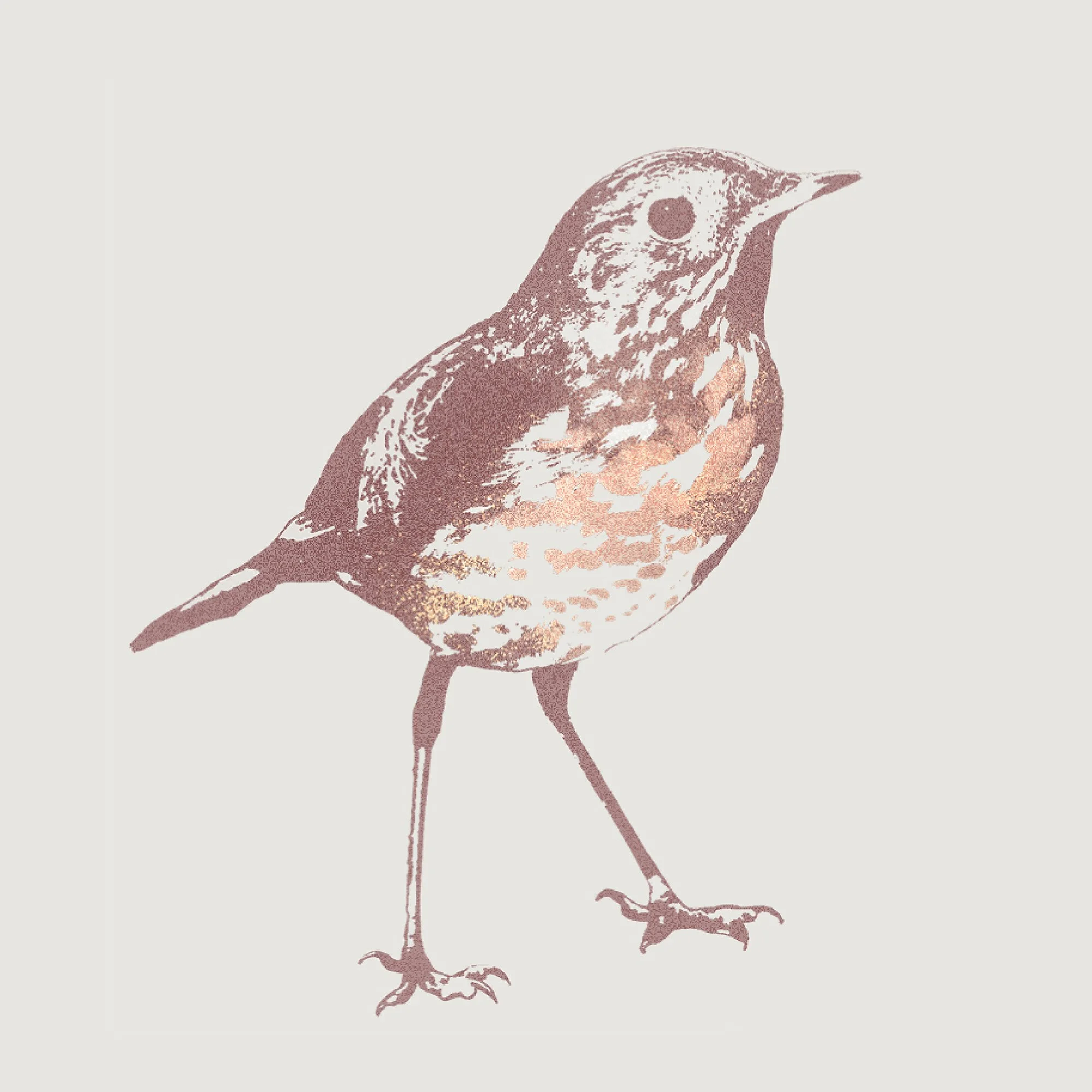 kale-tree-hermit-thrush-frangula-1.jpg