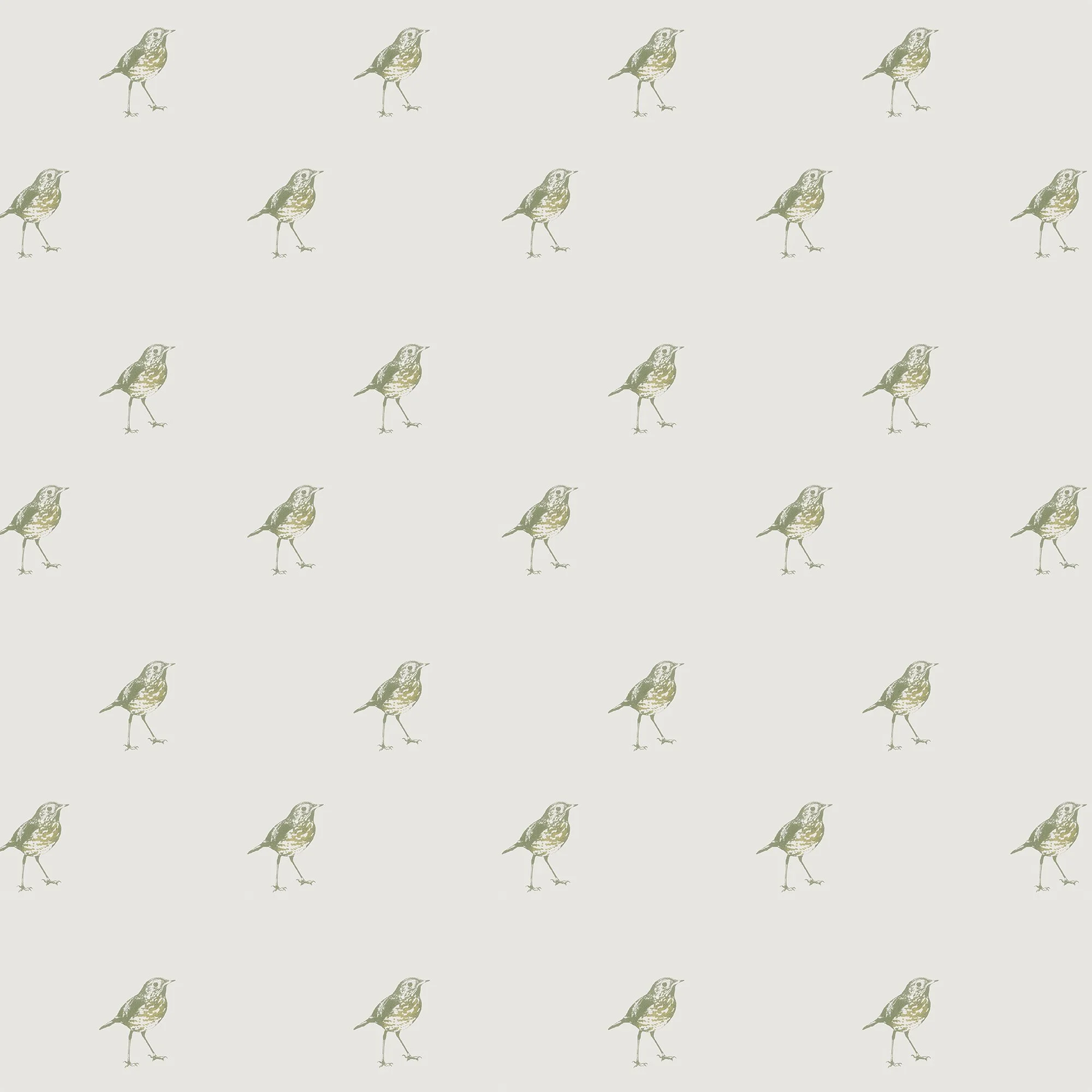 Hermit Thrush Wallpaper - Quercus