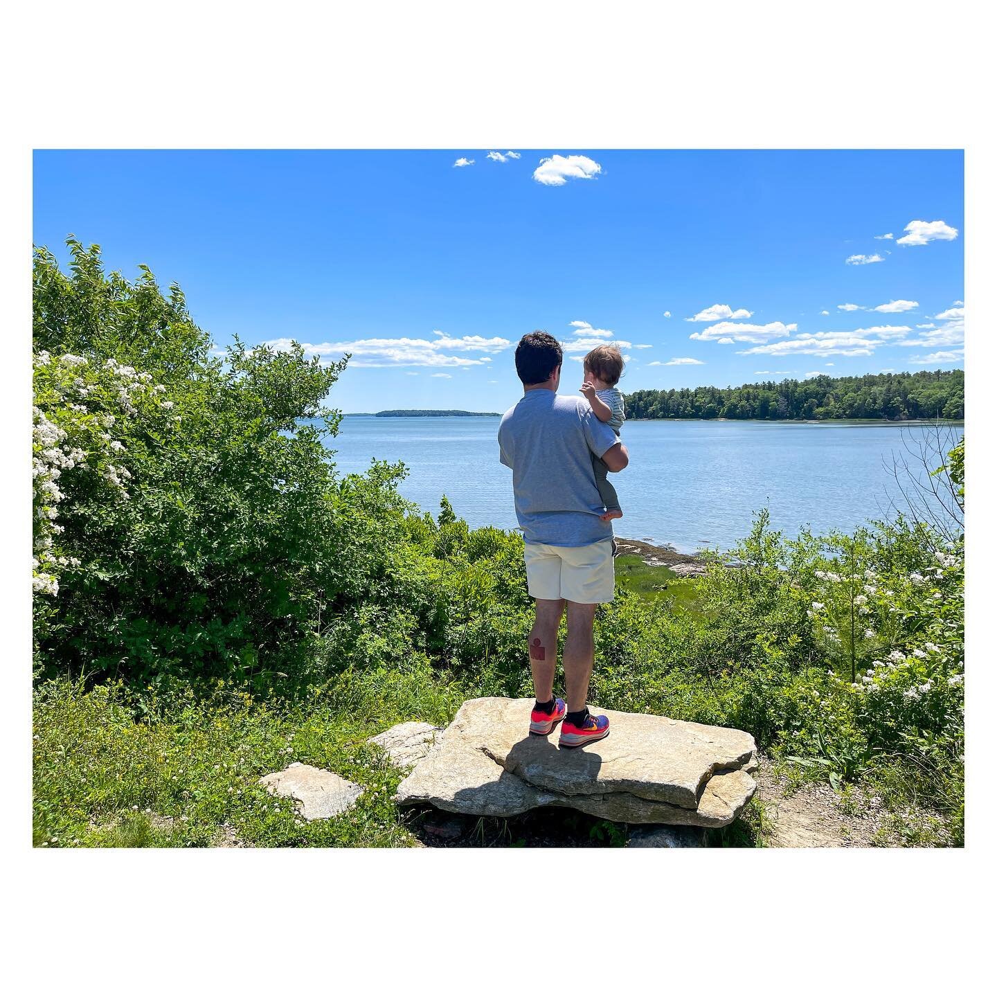 Everything the light touches is our kingdom&hellip;
*
*
*
*
*
*
*
*
*
*
*
*
*
*
#maine #lovewhereyoulive #lionking #dadlife #dadandson