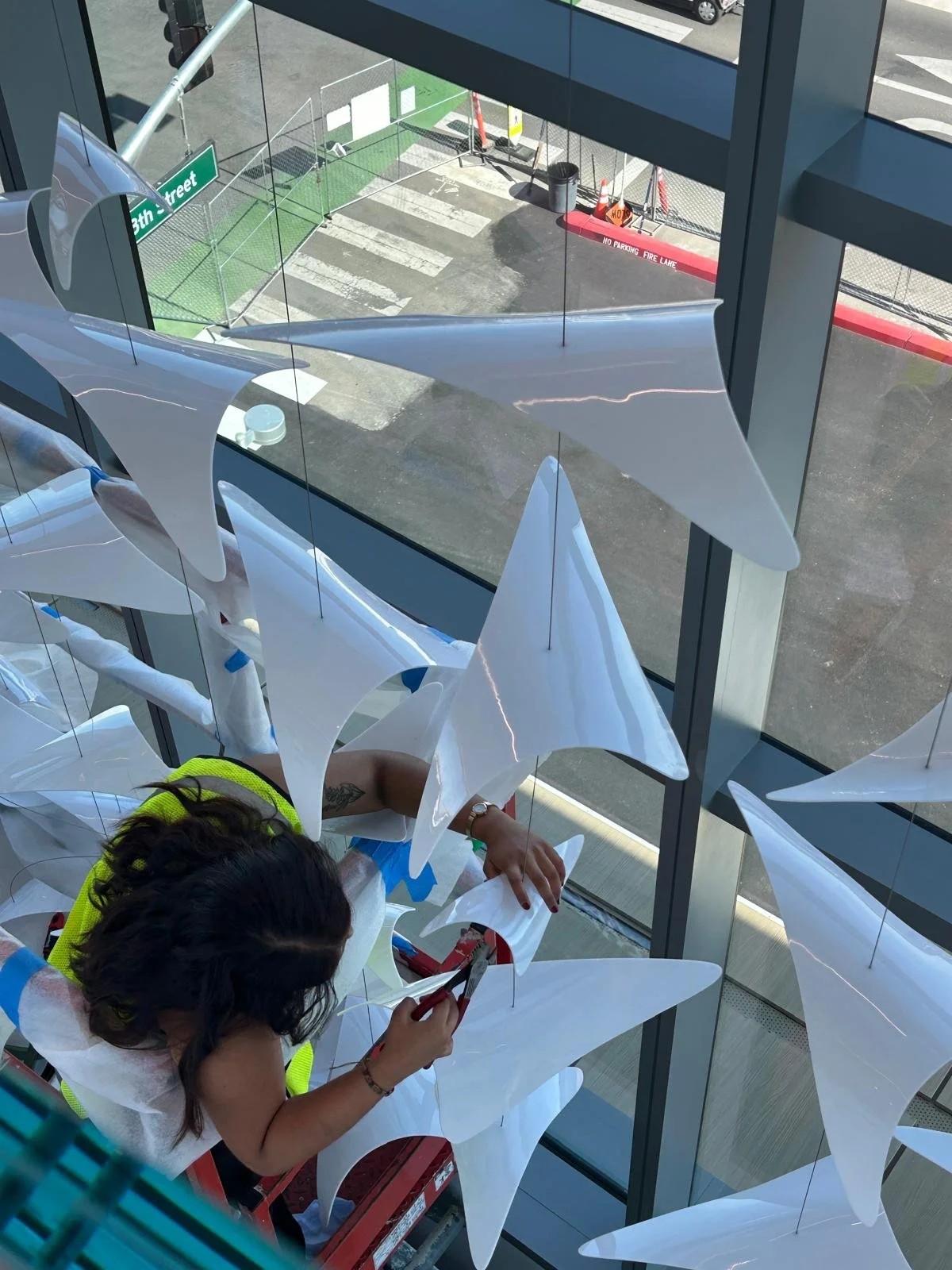 UCD_Image w People2.jpg