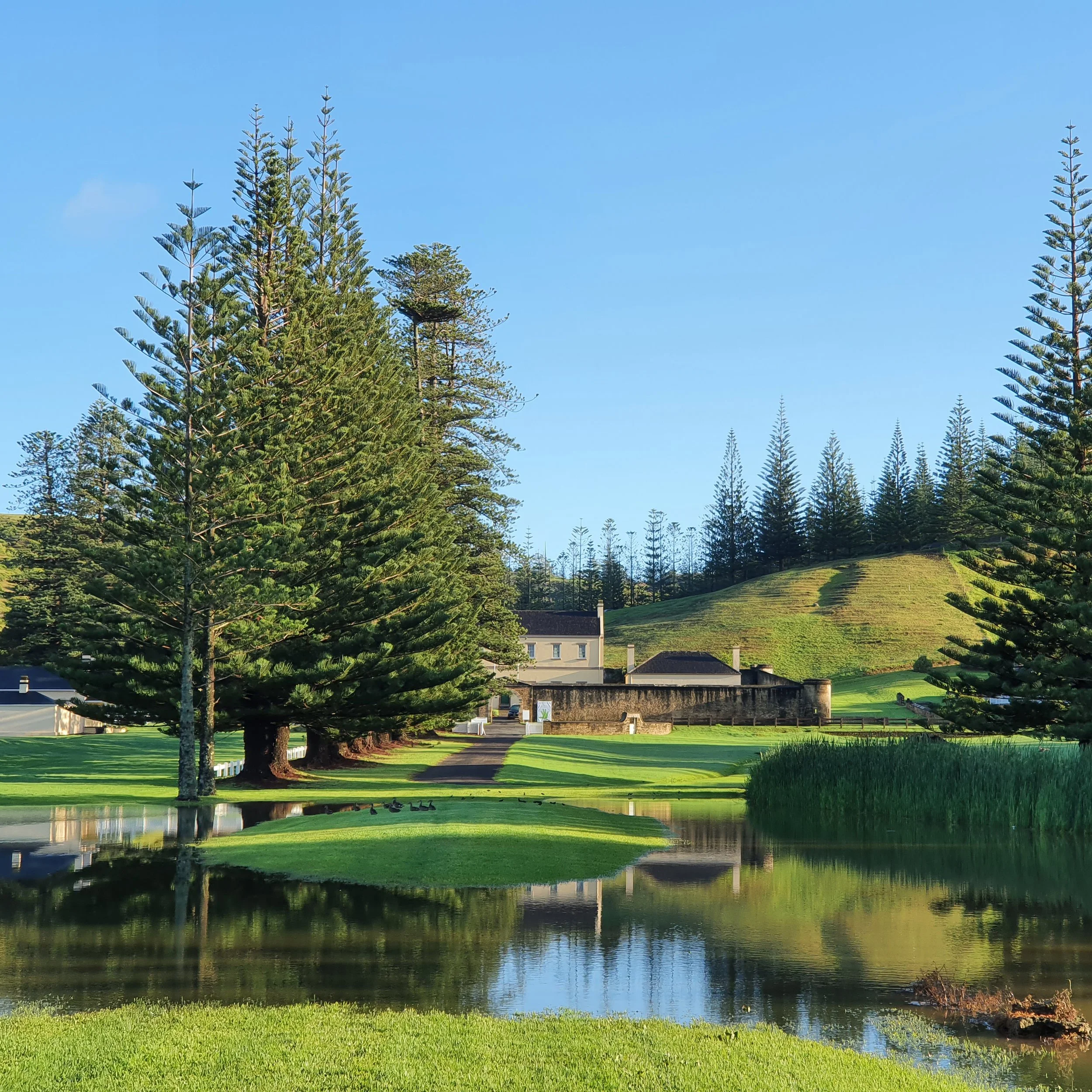 Norfolk’s lagoonal reef – the 2025 report, in plain English 