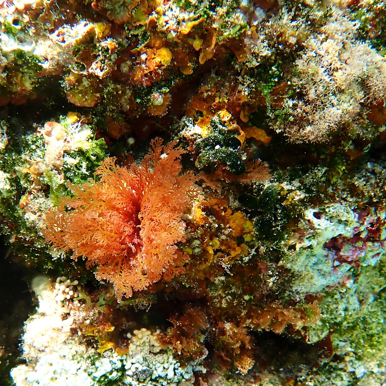 4 Oct 2025 (96)_crop.jpg