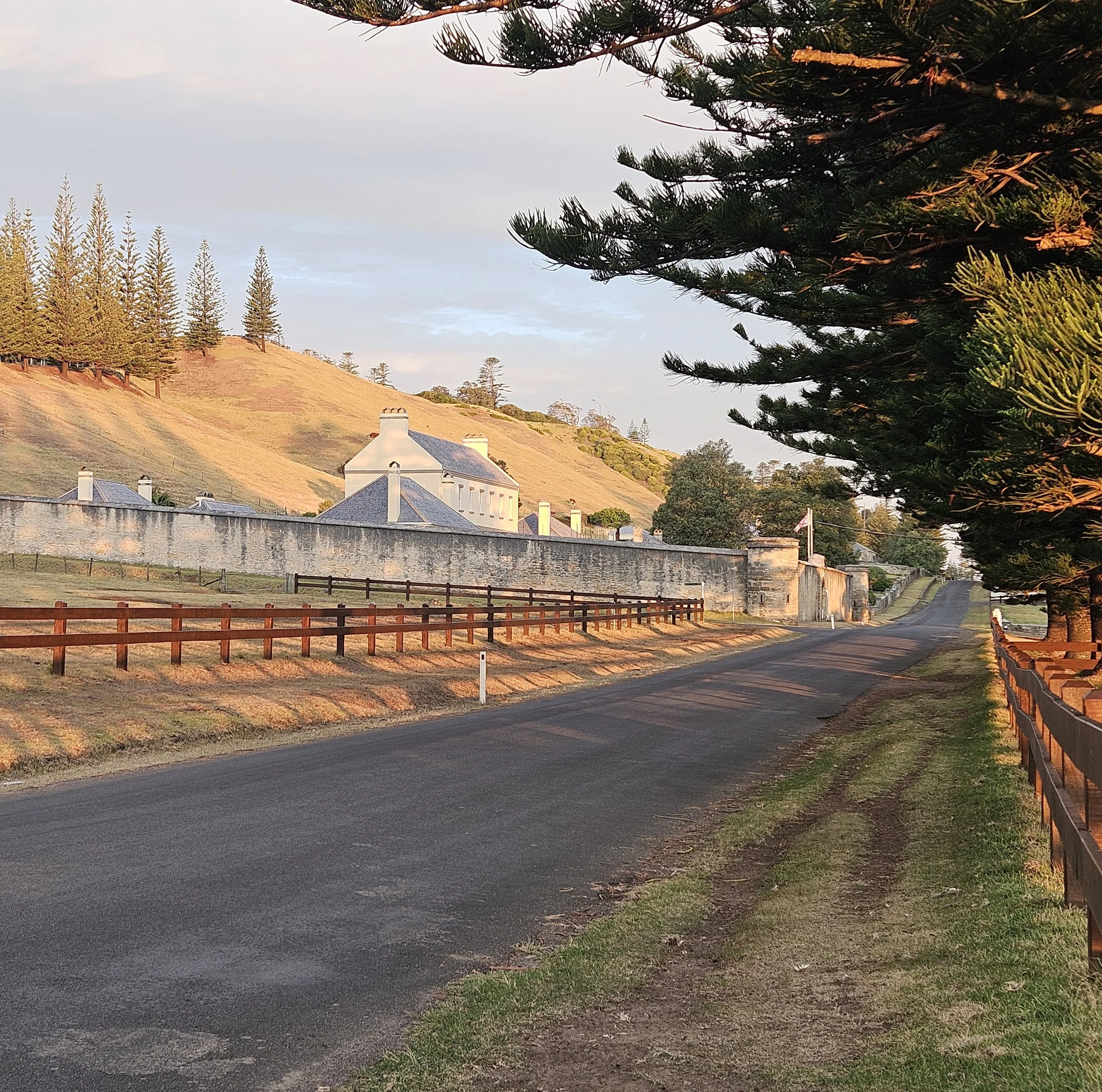 A year in review – 2025 on Norfolk Island's reef