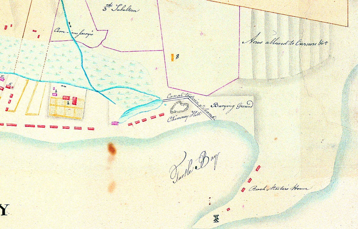 Doris Map Doris – just one turtle? — Norfolk Island's Reef