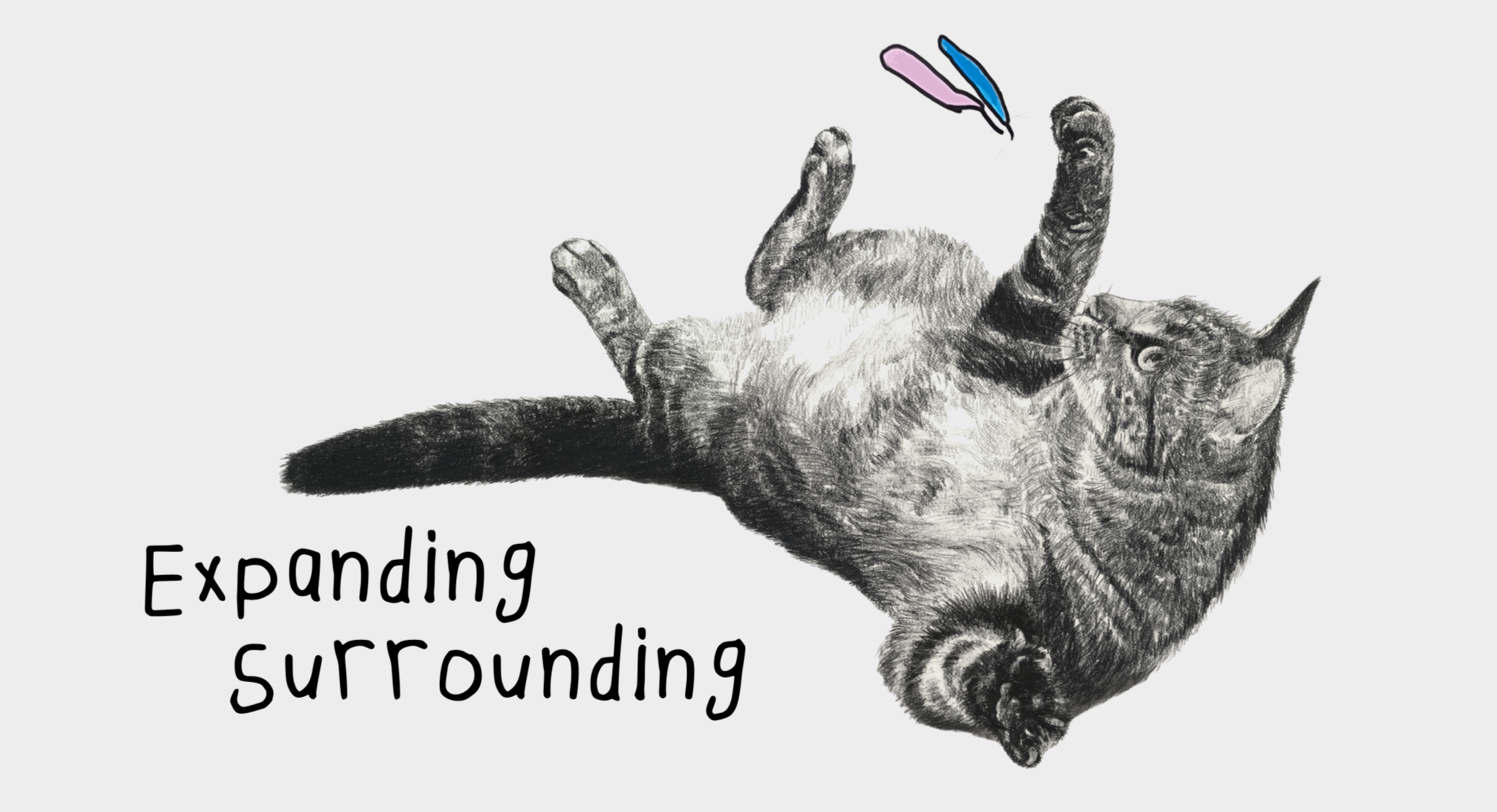 Expanding%2BSurrounding%2BBanner%2B%25283%2529.png