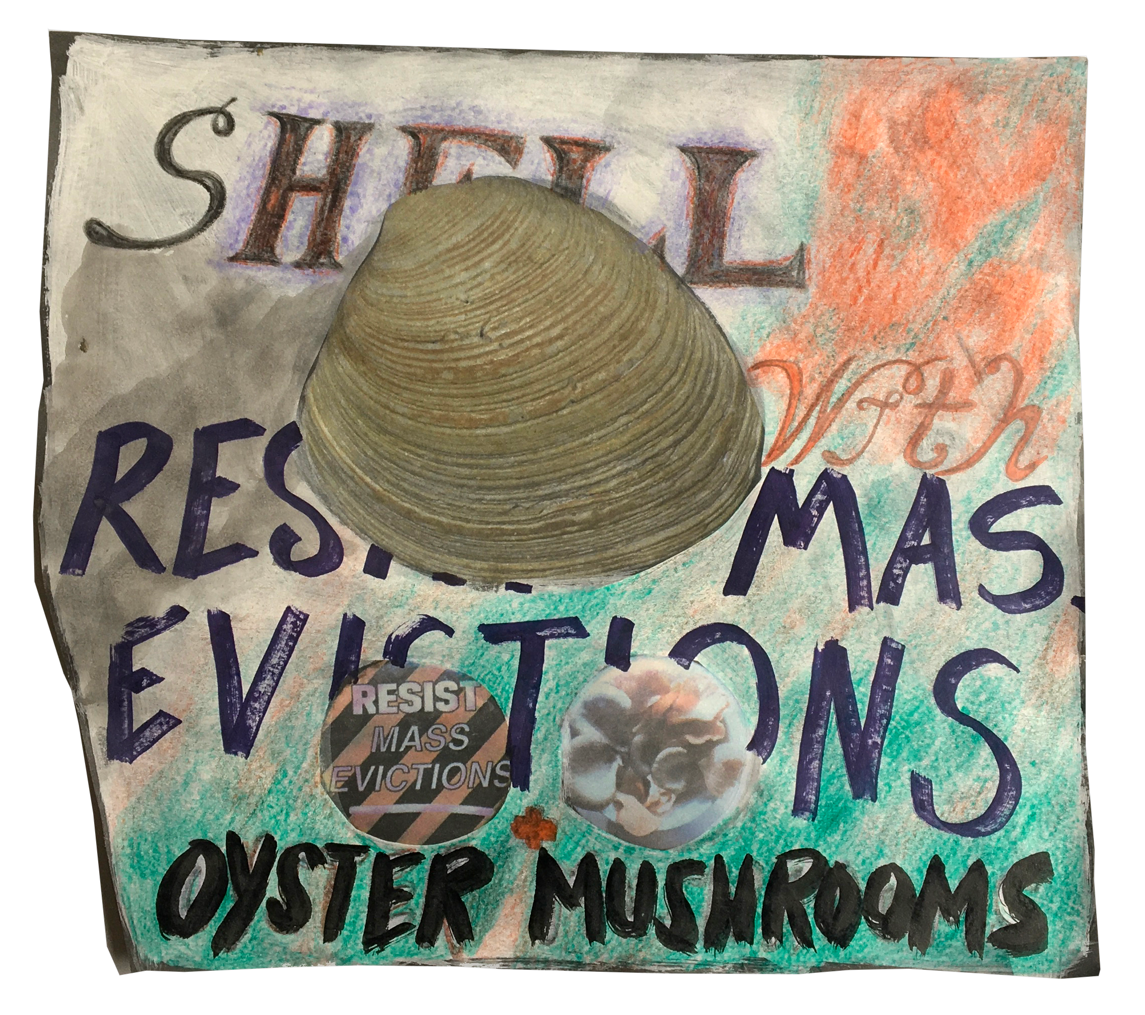 A drawing with loose written text including the words Shell, with, evictions and oyster mushrooms.  There is a collage of a shell on top