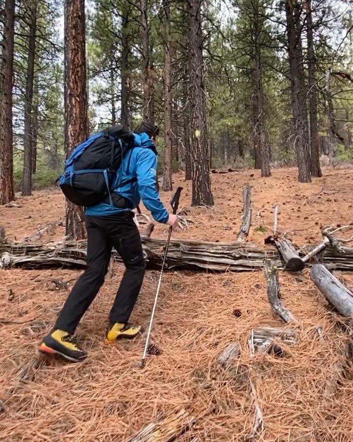 BUILDING YOUR EARLY BASE STRENGTH: A TRANSITION PERIOD WORKOUT&nbsp;⛰️🏋️&zwj;♀️

This workout is designed for mountaineers, hikers, and trail runners to build strength and movement quality before transitioning into more demanding mountain training. 