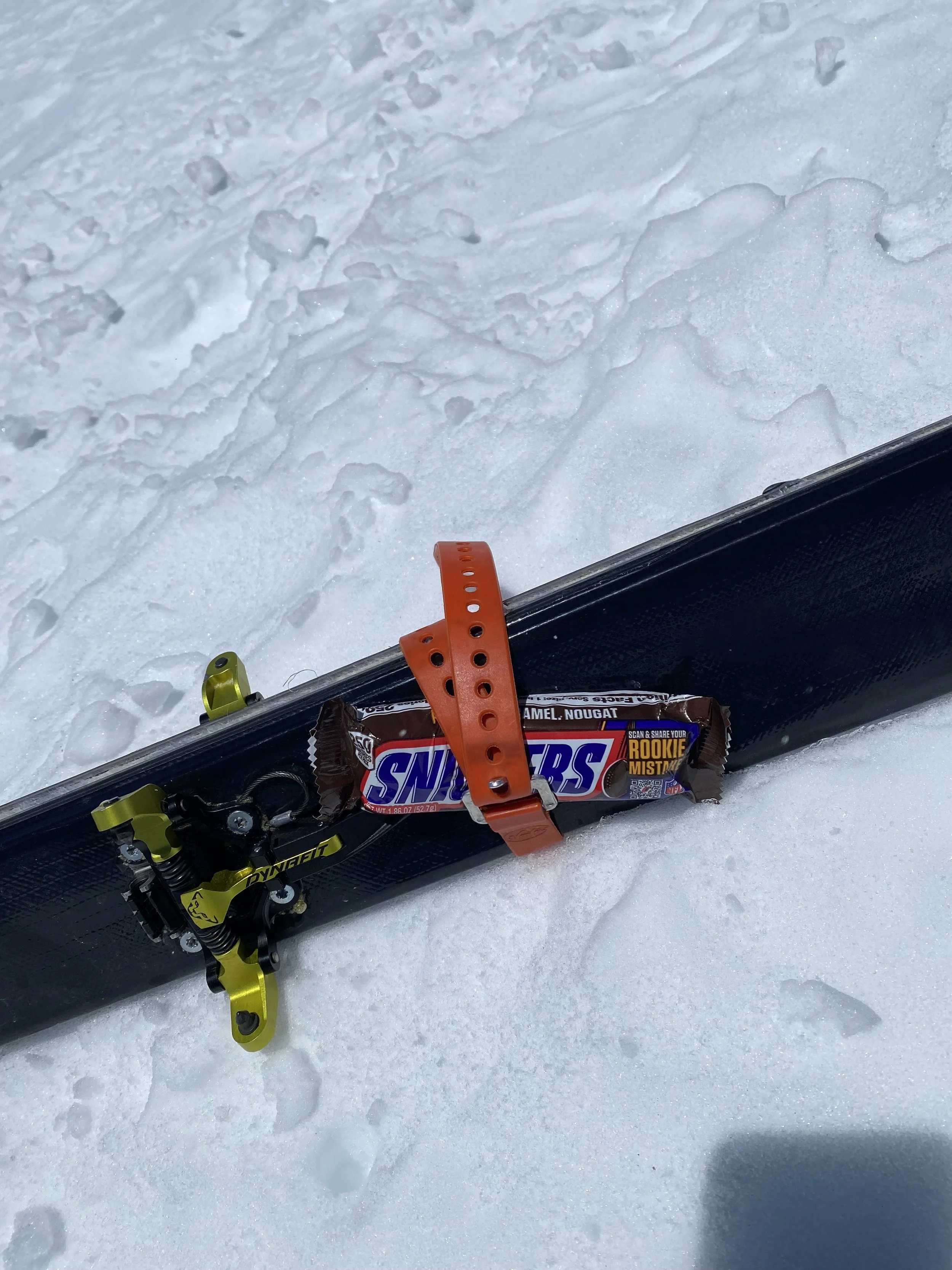 Snickers on Misery Hill.jpeg