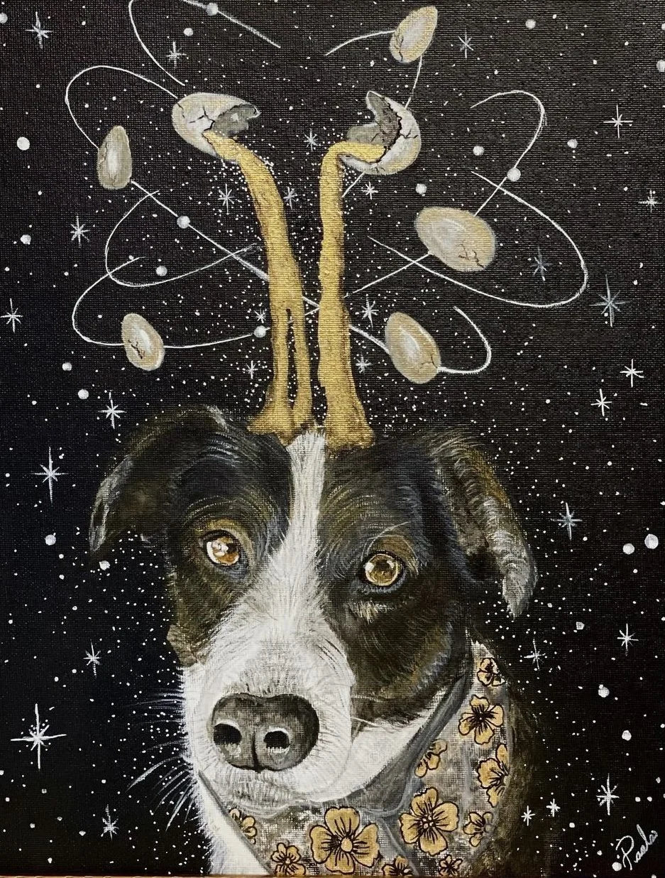 Photo Dec 12 2022, 7 43 20 PM.jpg