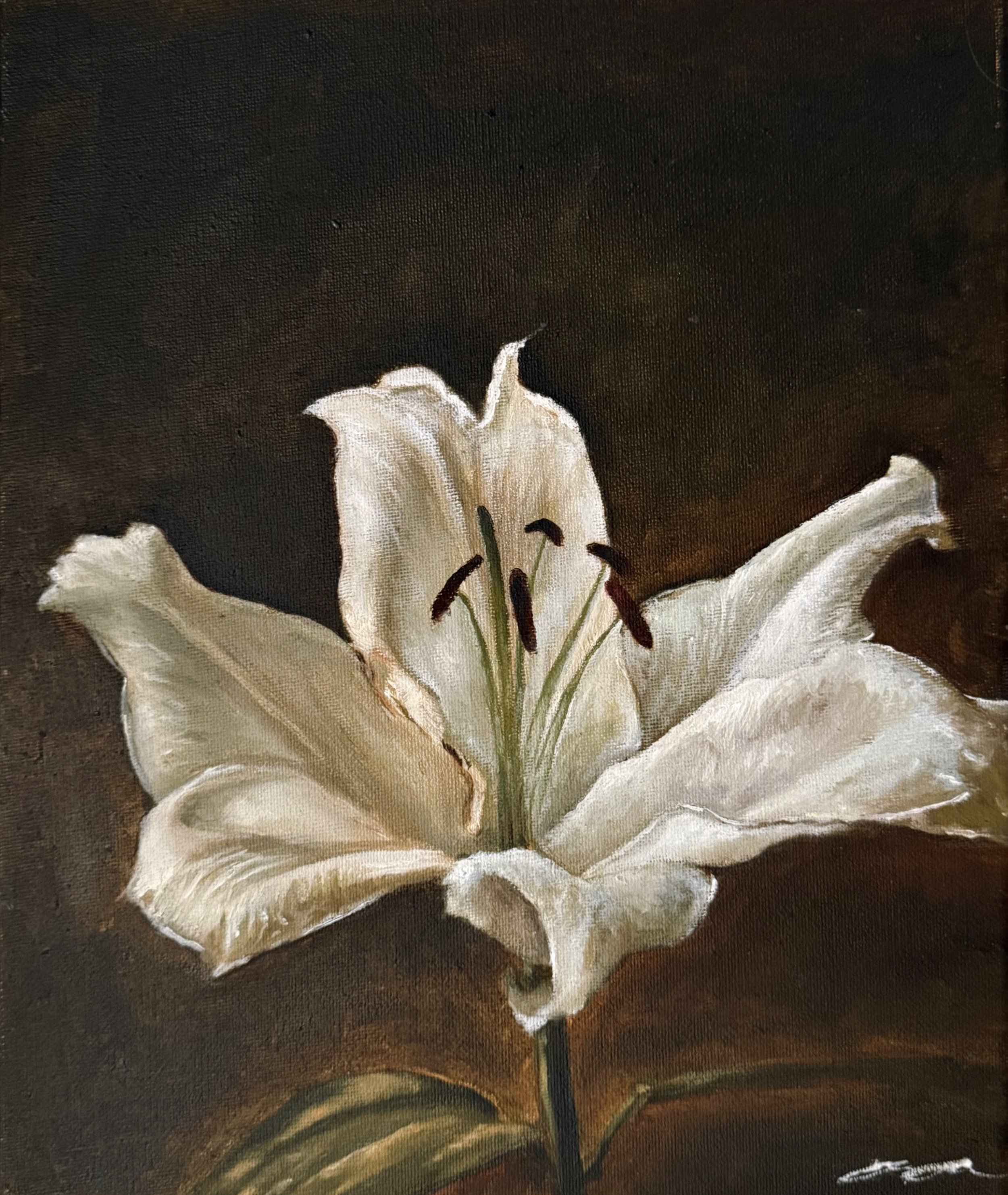 "white lilly" - 25 x 30 cm | Oils on canvas