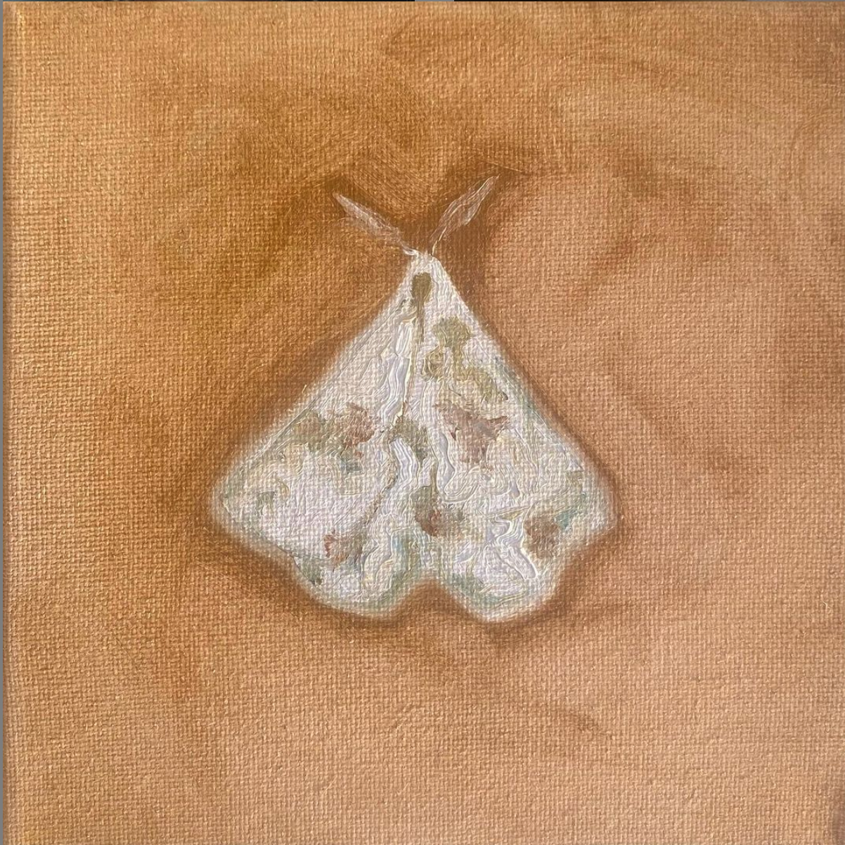 “Bug. 1” - 15 by 15 cm | Oils on canvas