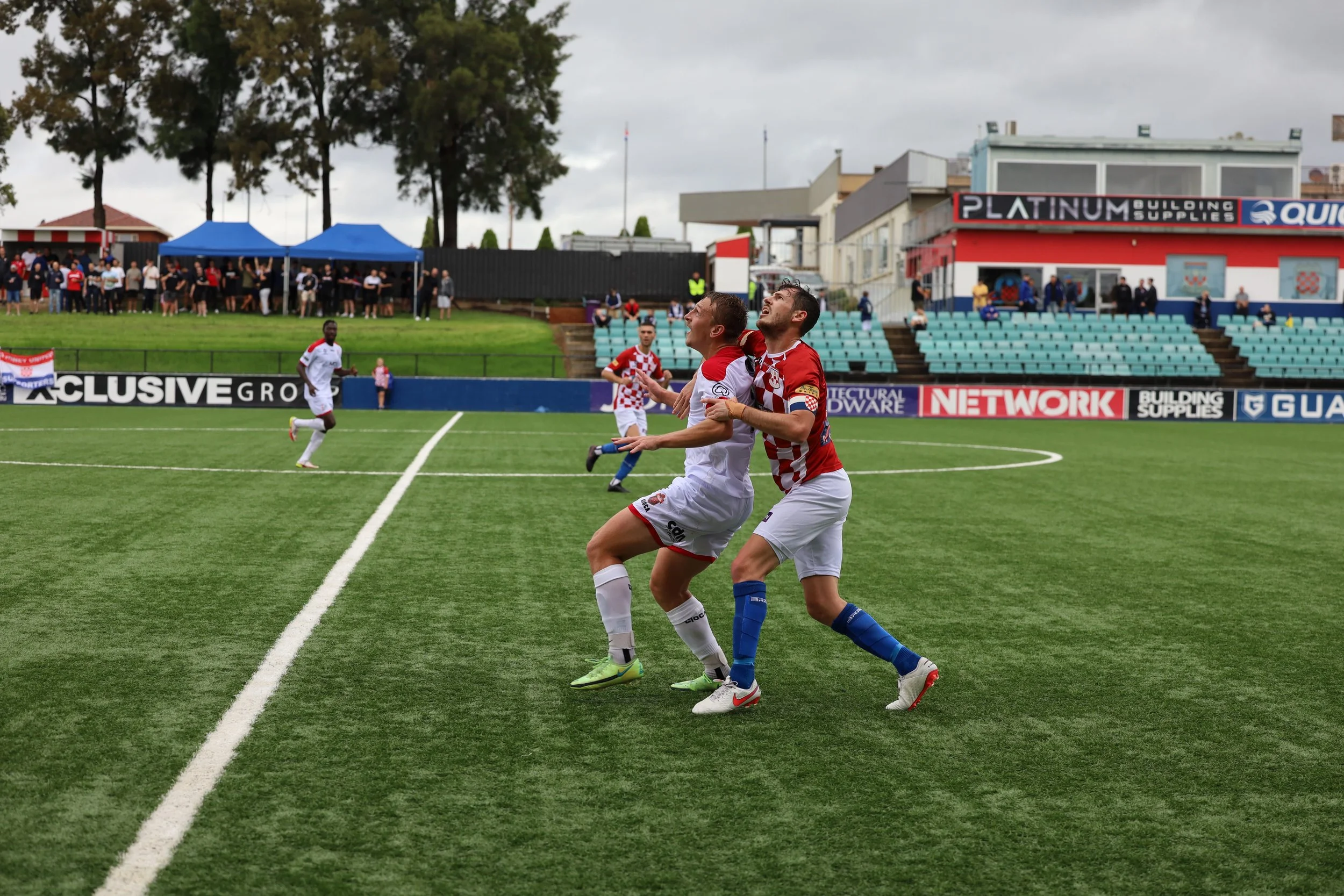 Sydney United 58 slay the wolves in a fiery game to take home three points 