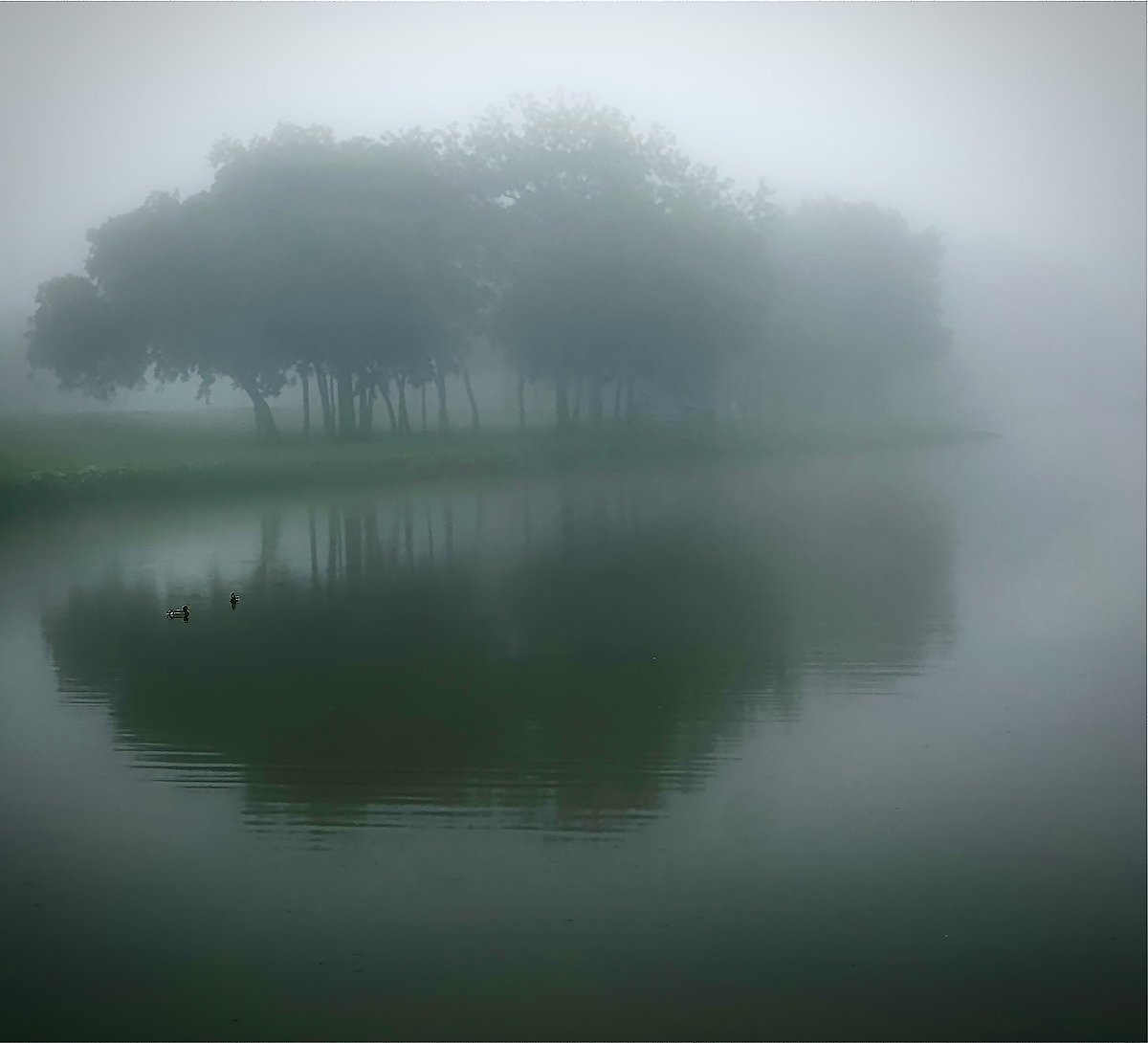 Garms_ 2024_TowneLakeFog.jpg