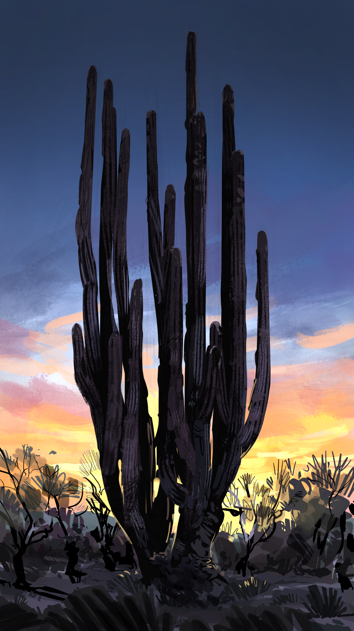 cactus_02_latest2.png